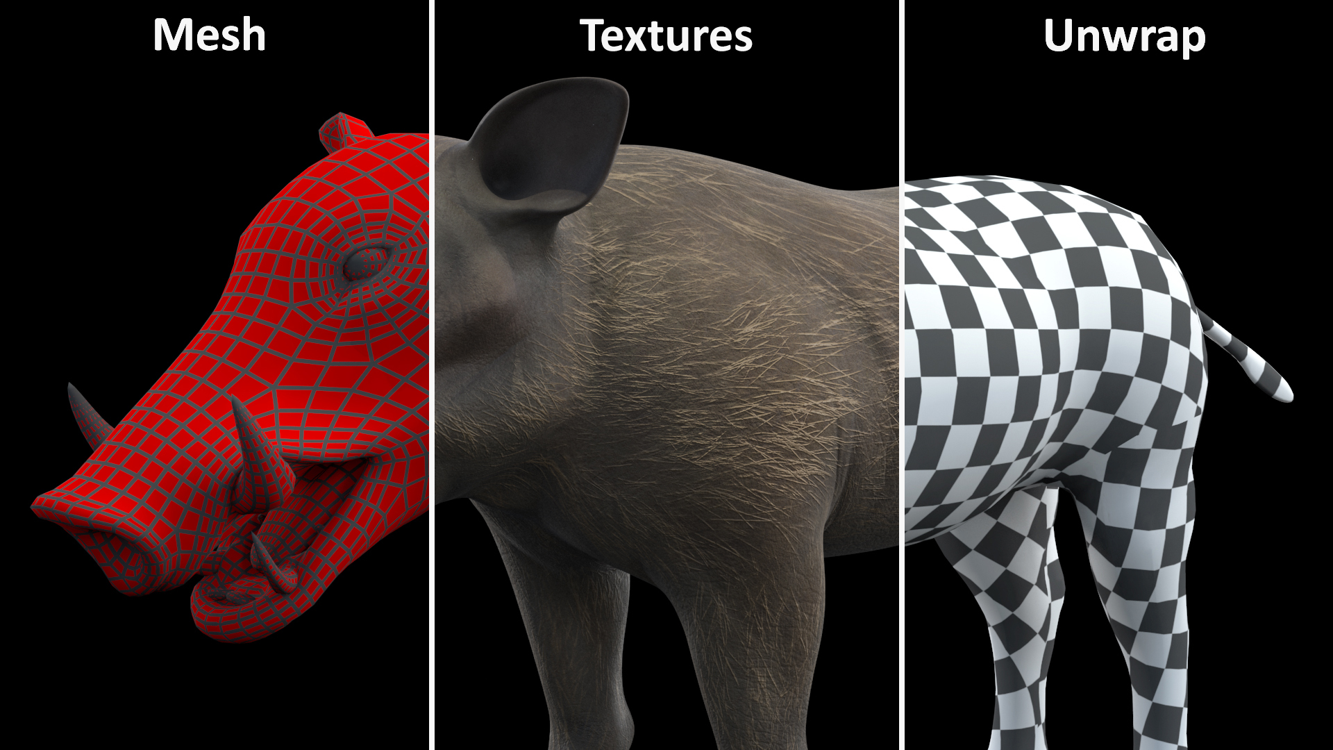3D Warthog Basic Pose model