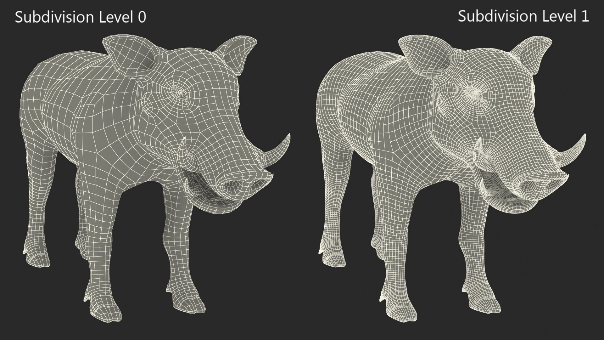 3D Warthog Basic Pose model