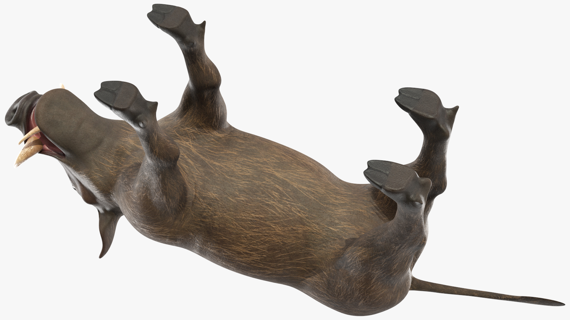 3D Warthog Basic Pose model