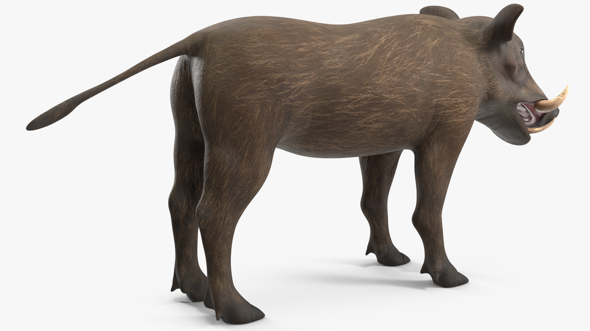 3D Warthog Basic Pose model