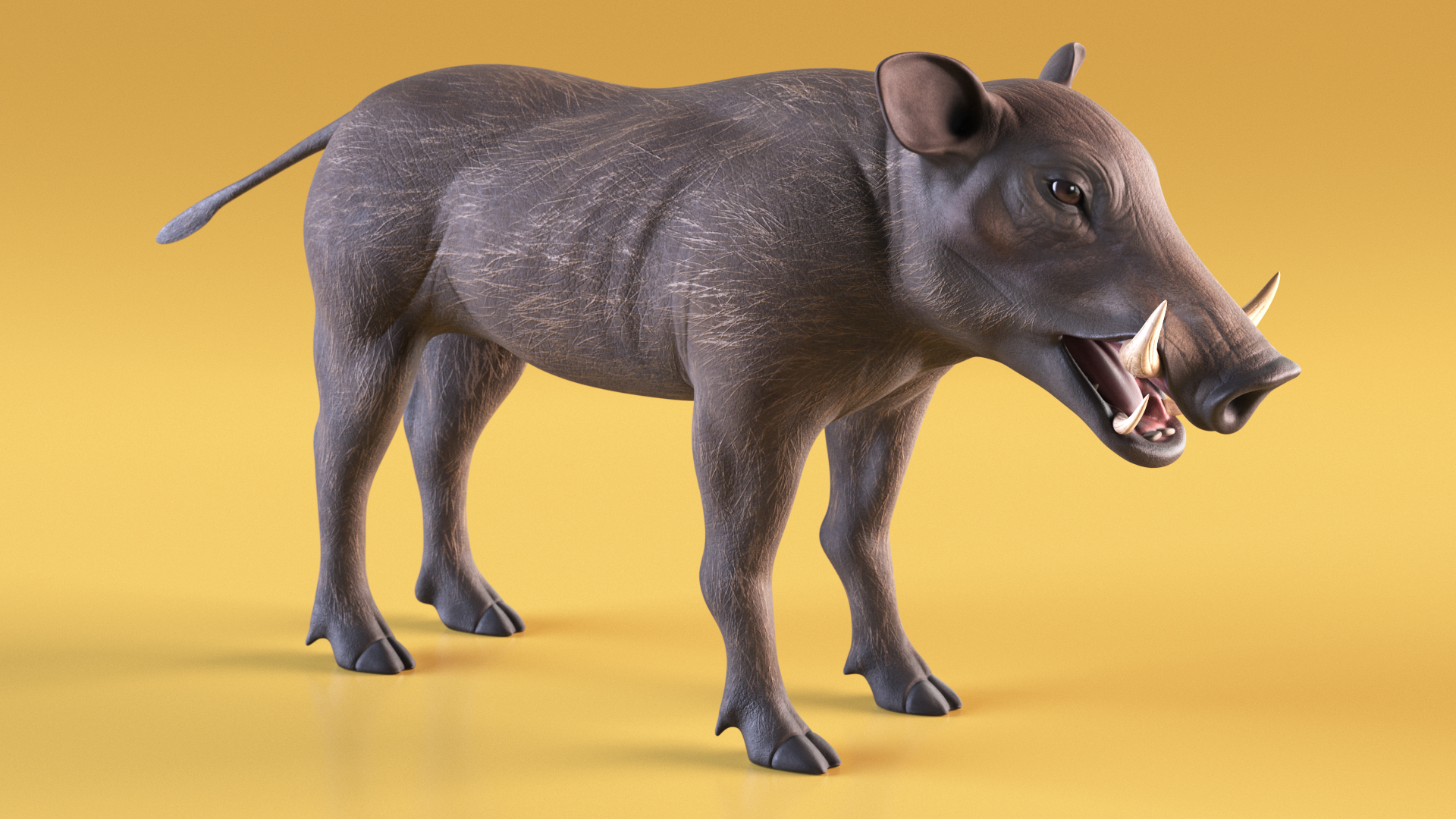 3D Warthog Basic Pose model