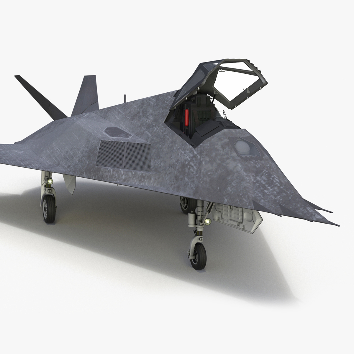 3D Combat Stealth Fighter Jet Rigged model