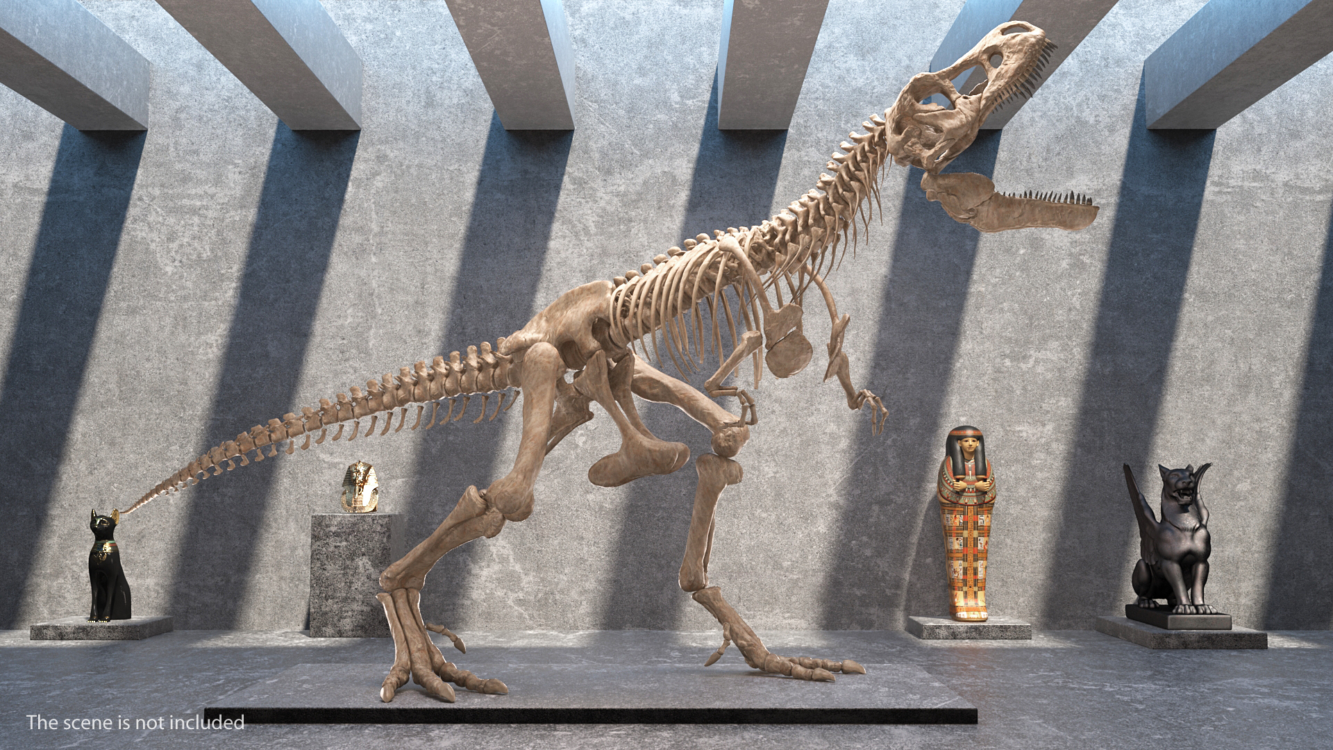 Tyrannosaurus Rex Skeleton Fossil Standing Pose 3D