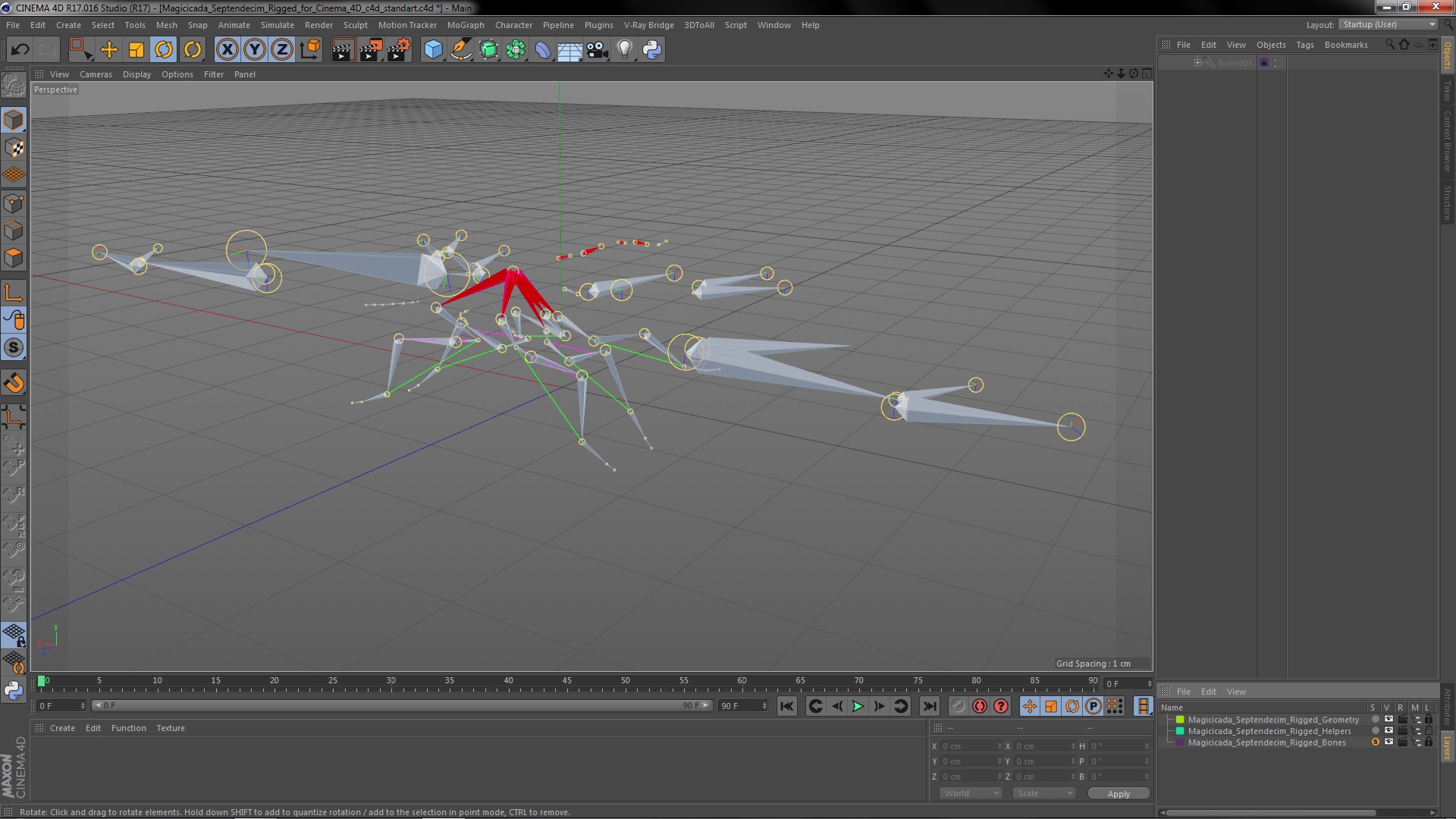 3D Magicicada Septendecim Rigged for Cinema 4D model