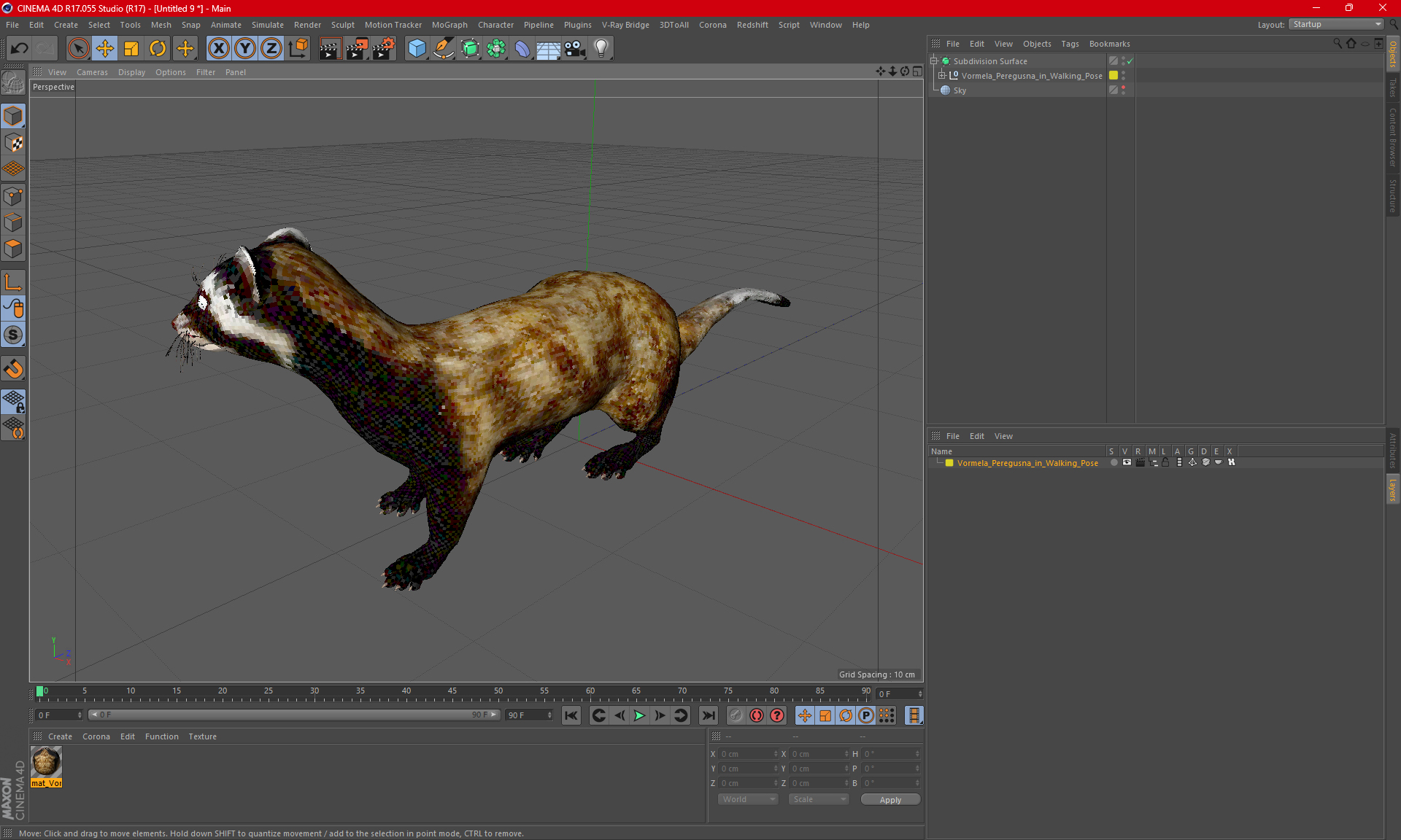 3D Vormela Peregusna in Walking Pose model