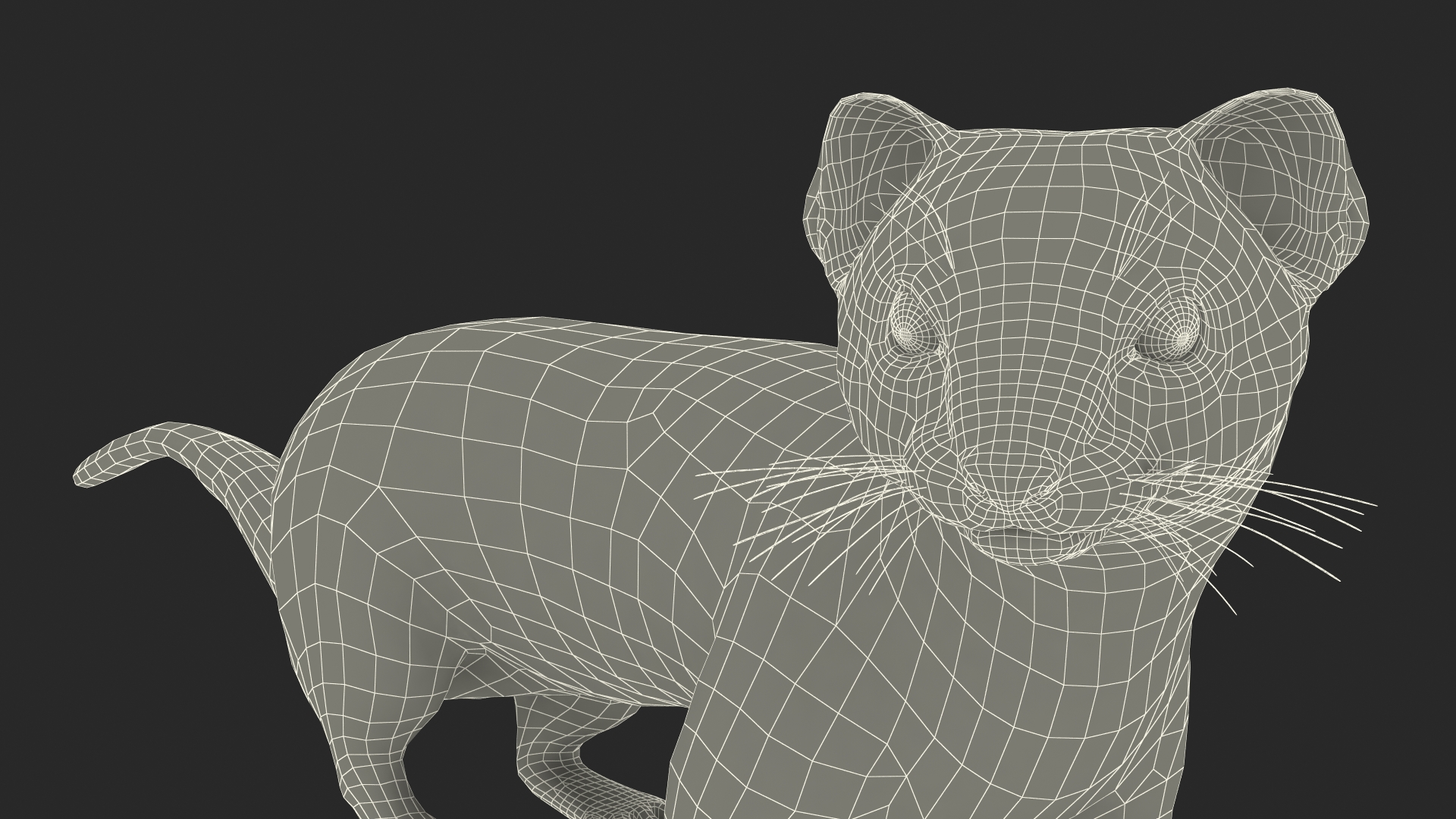 3D Vormela Peregusna in Walking Pose model
