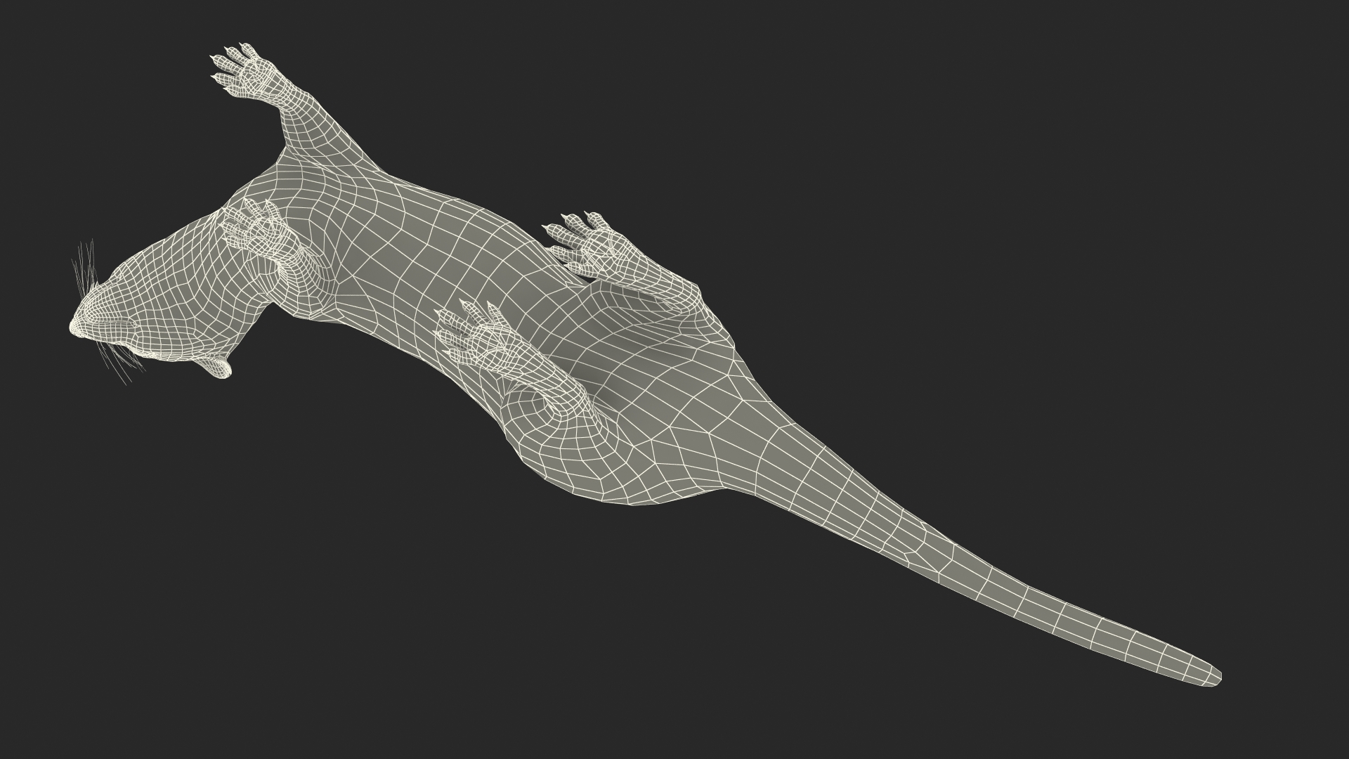 3D Vormela Peregusna in Walking Pose model