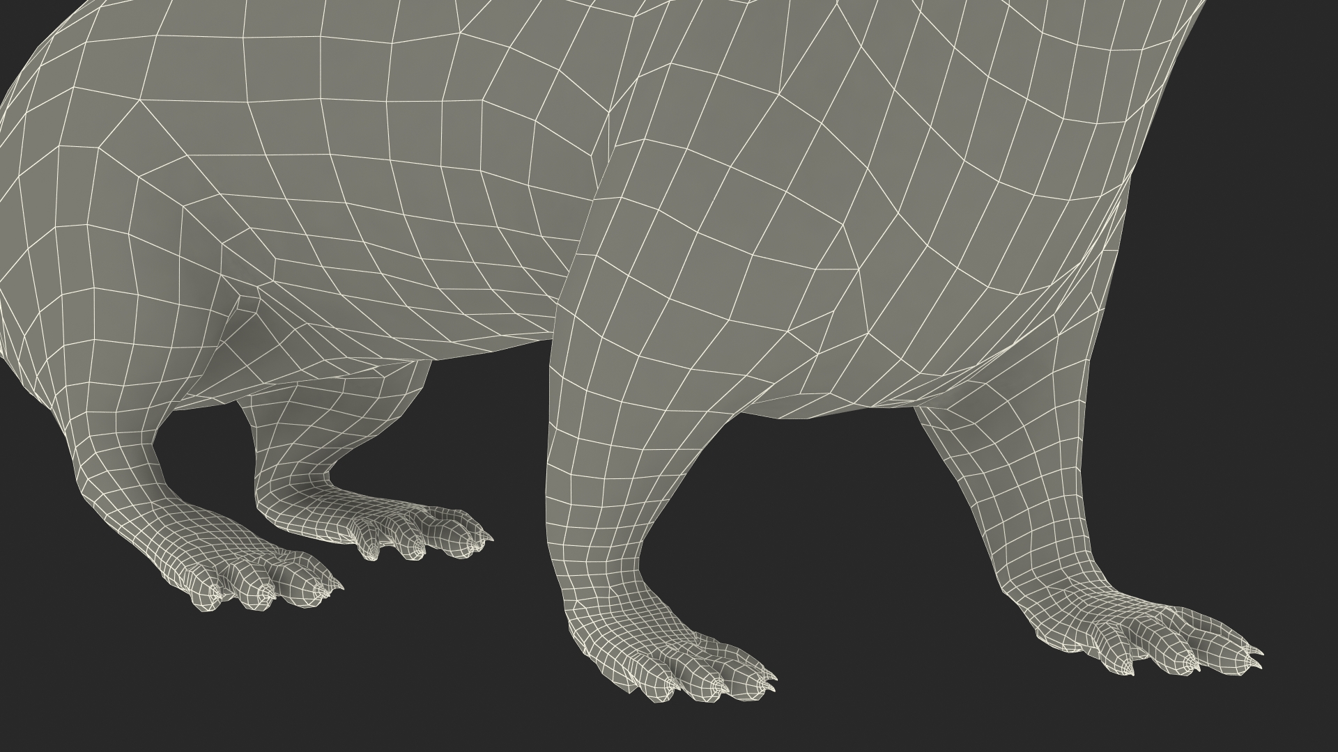 3D Vormela Peregusna in Walking Pose model