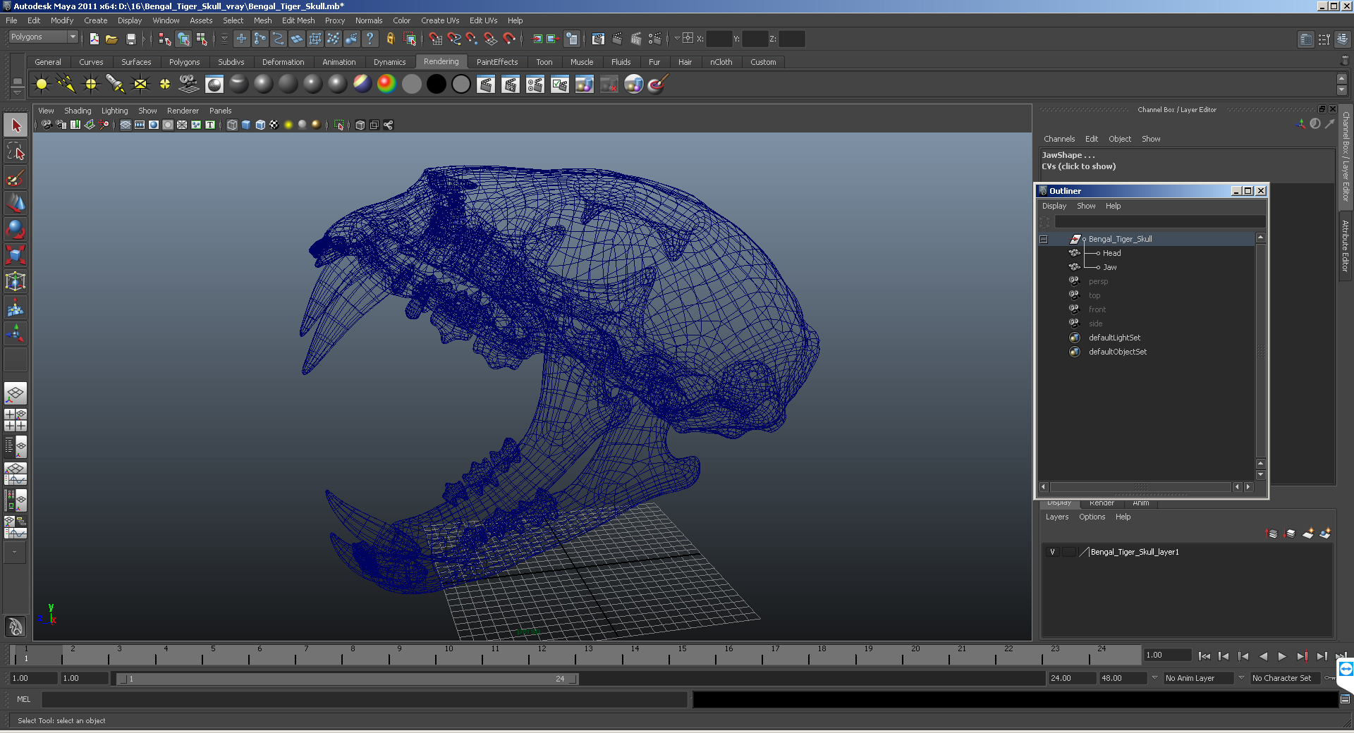 3D Bengal Tiger Skull model