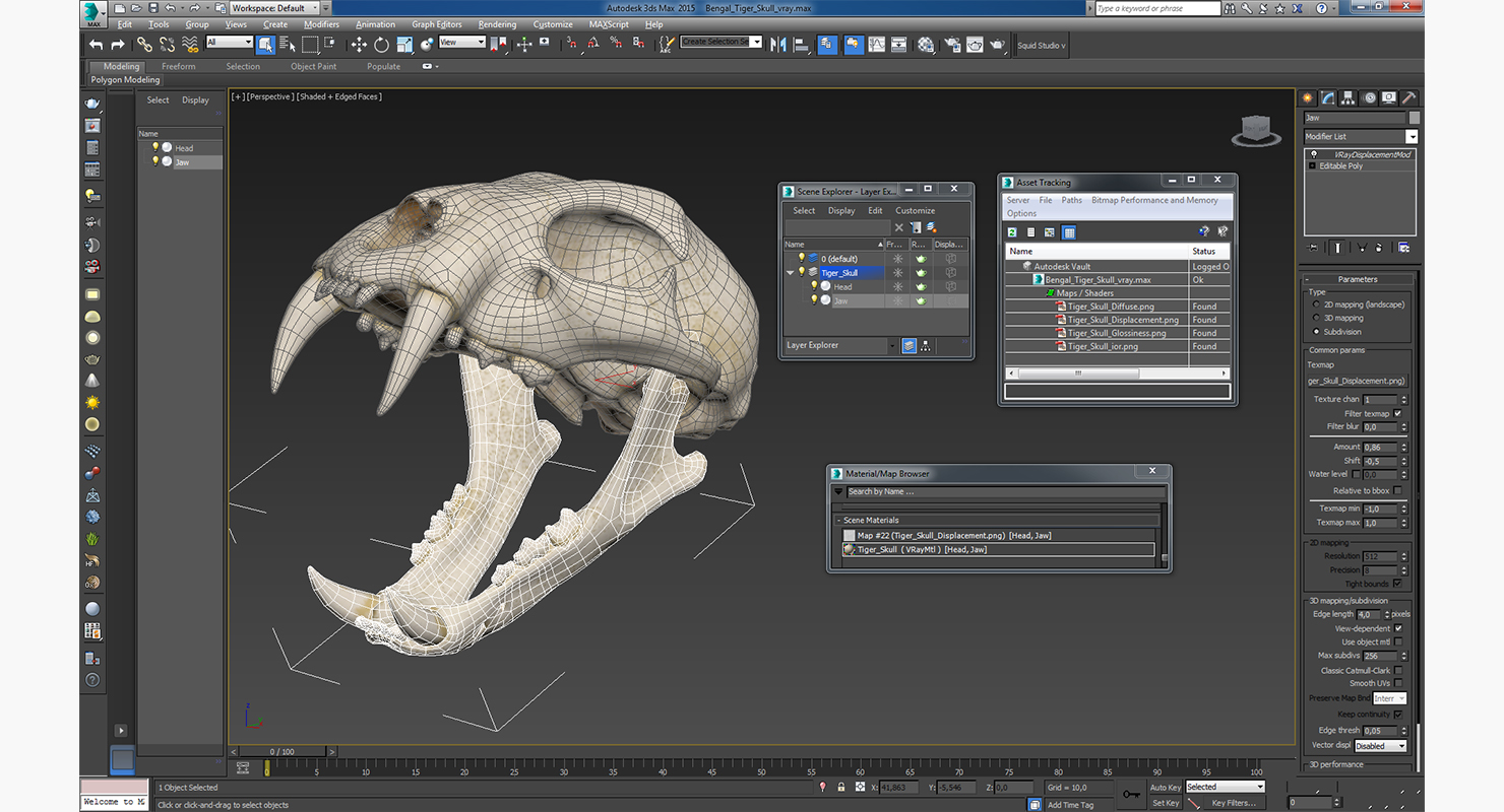 3D Bengal Tiger Skull model
