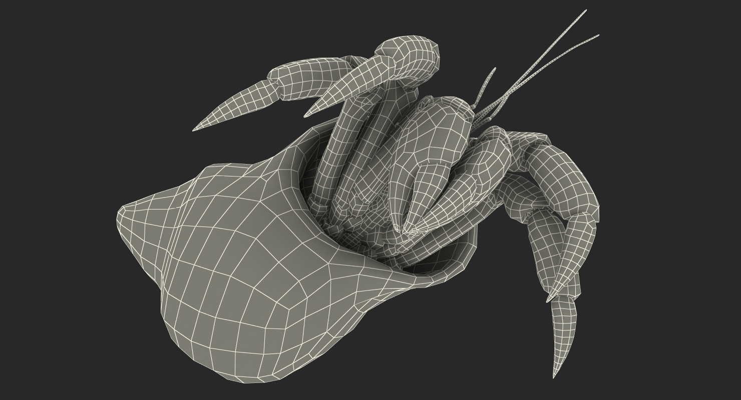 3D Hermit Crab Walking Pose with Fur model