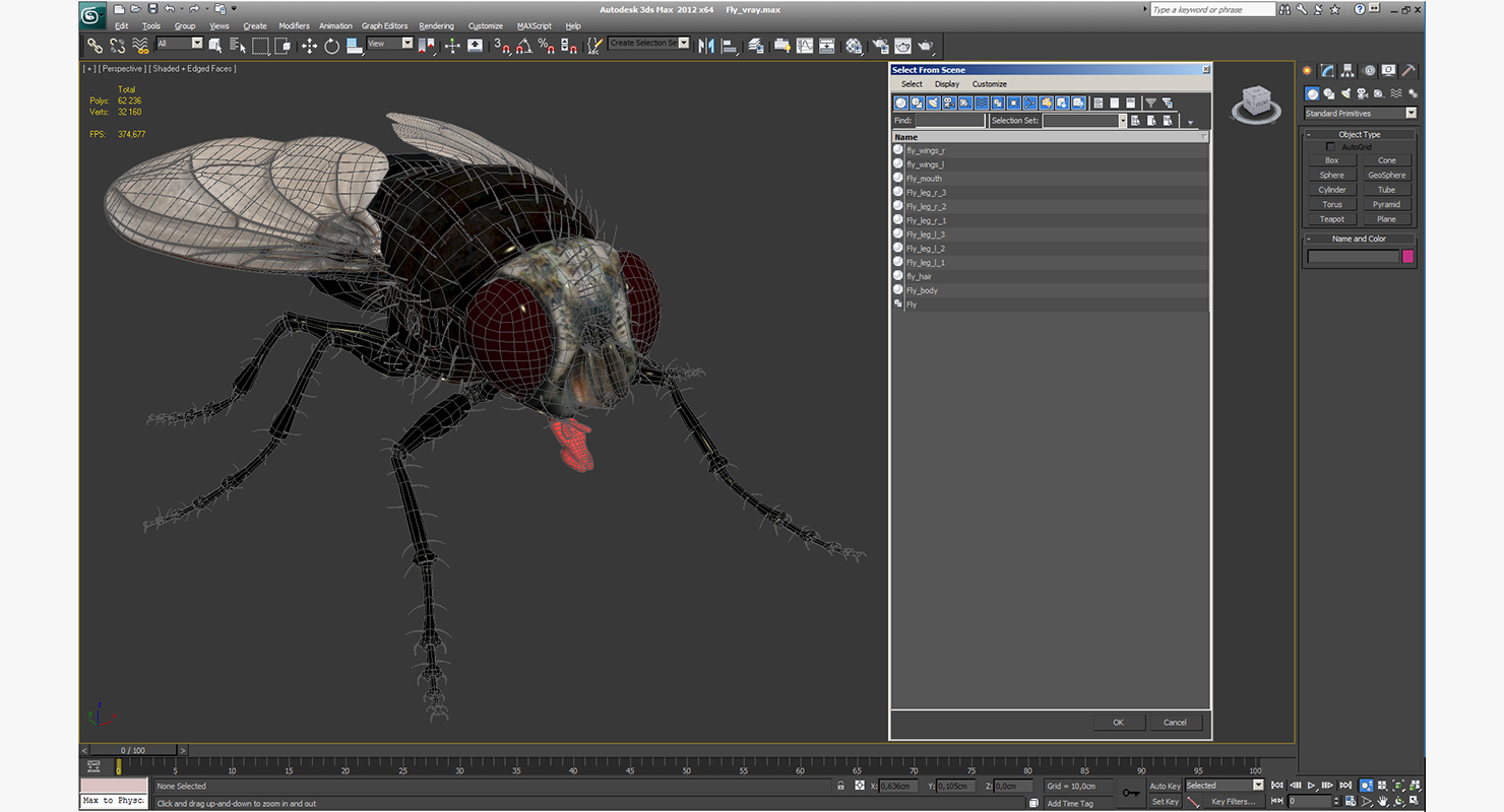 Fly 3D model