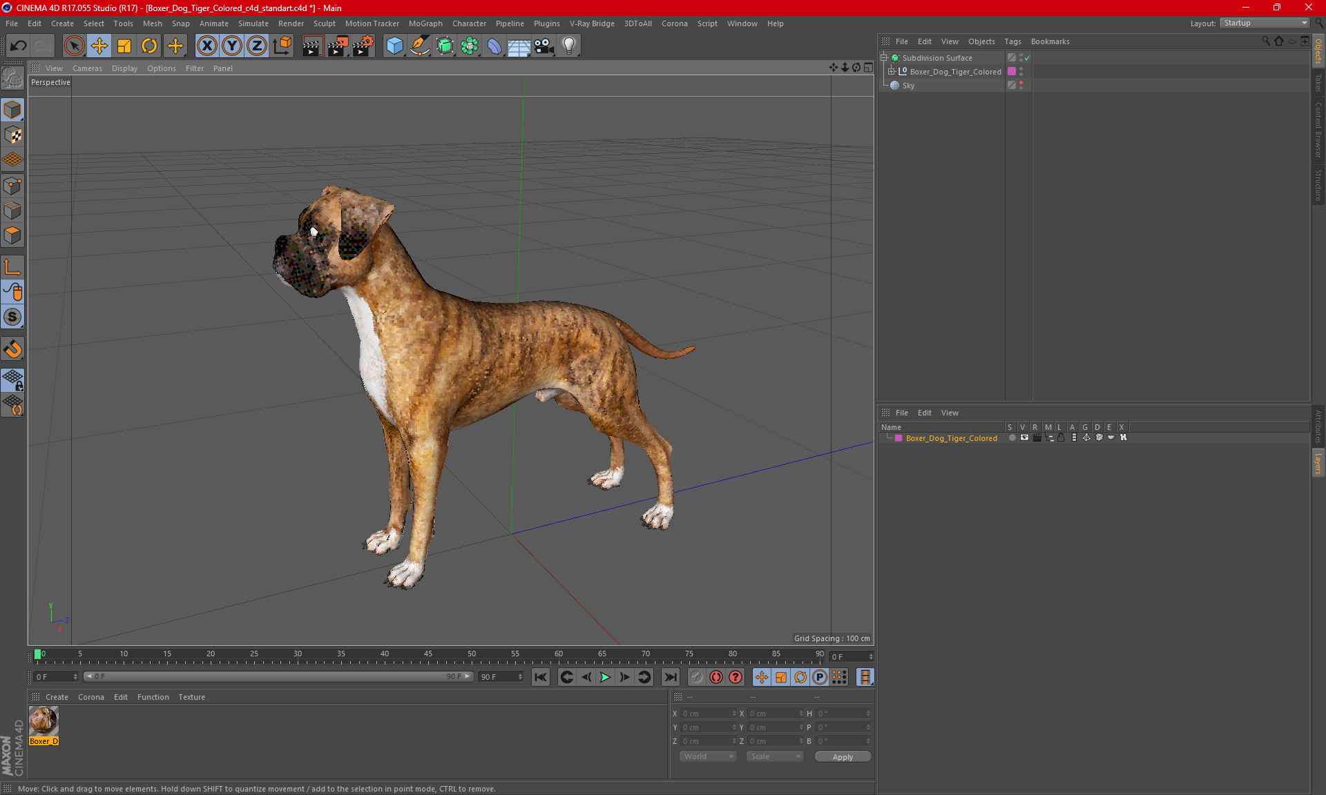 3D Boxer Dog Tiger Colored model
