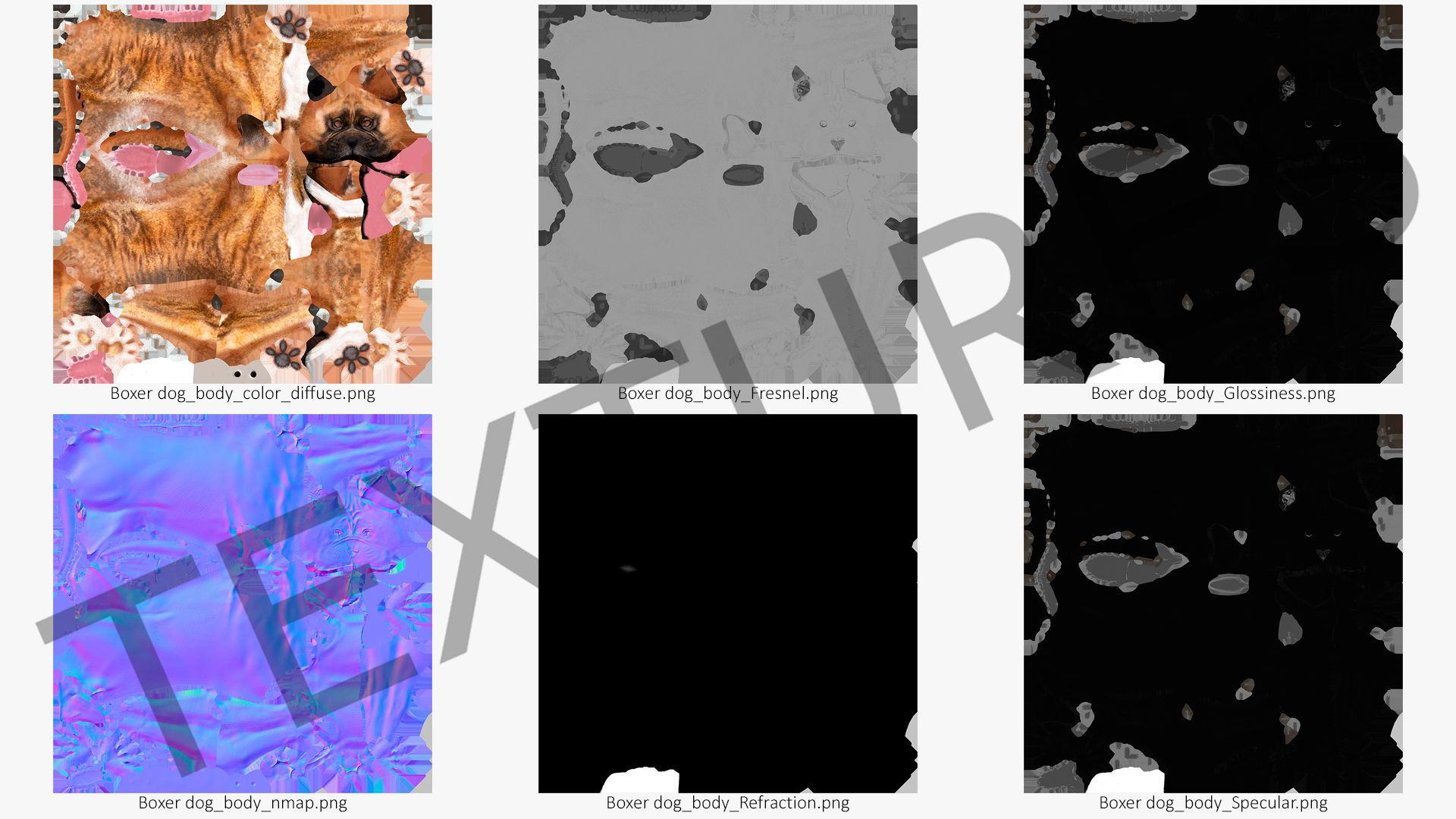 3D Boxer Dog Tiger Colored model