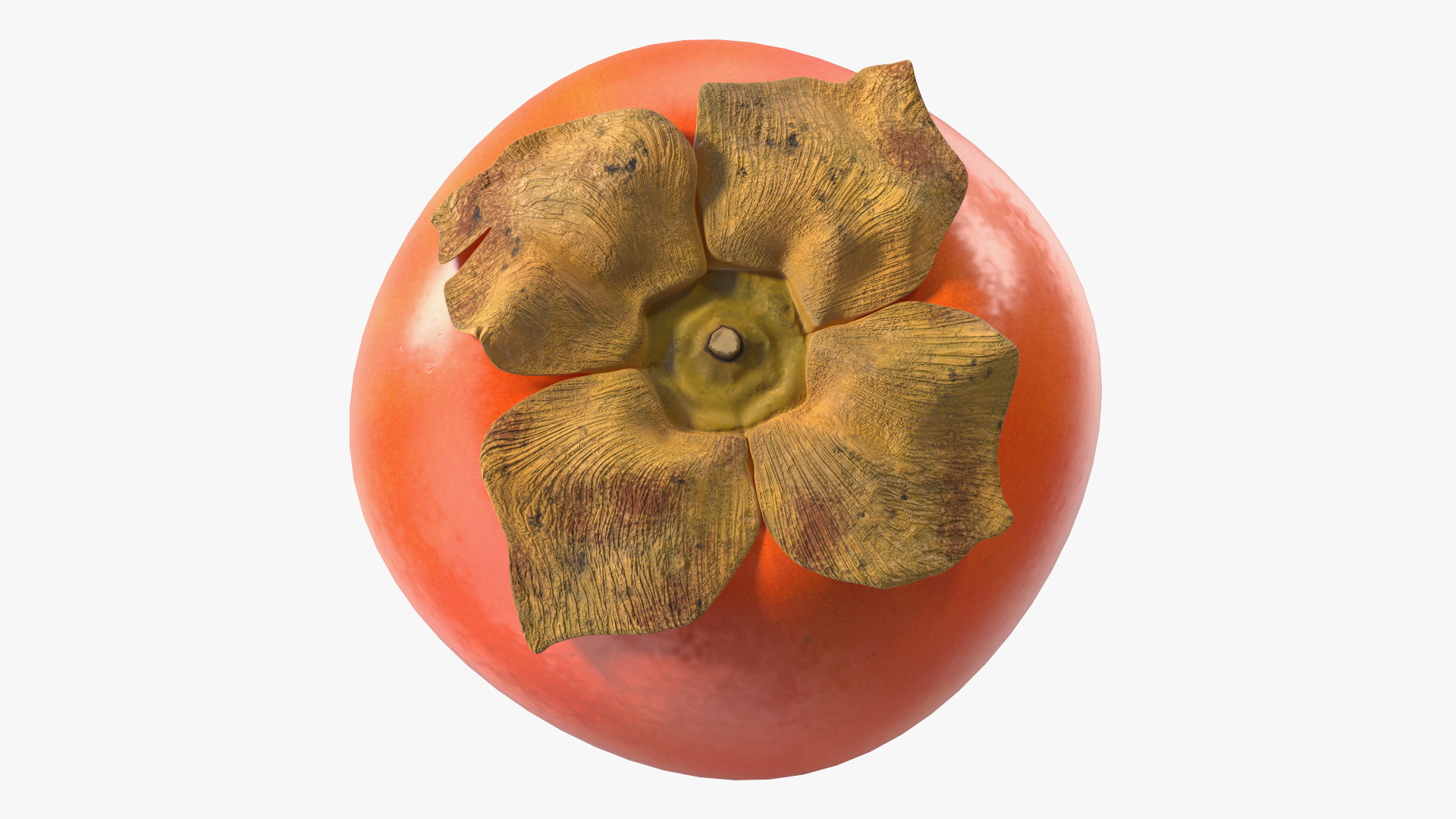 3D model Persimmon Fruit