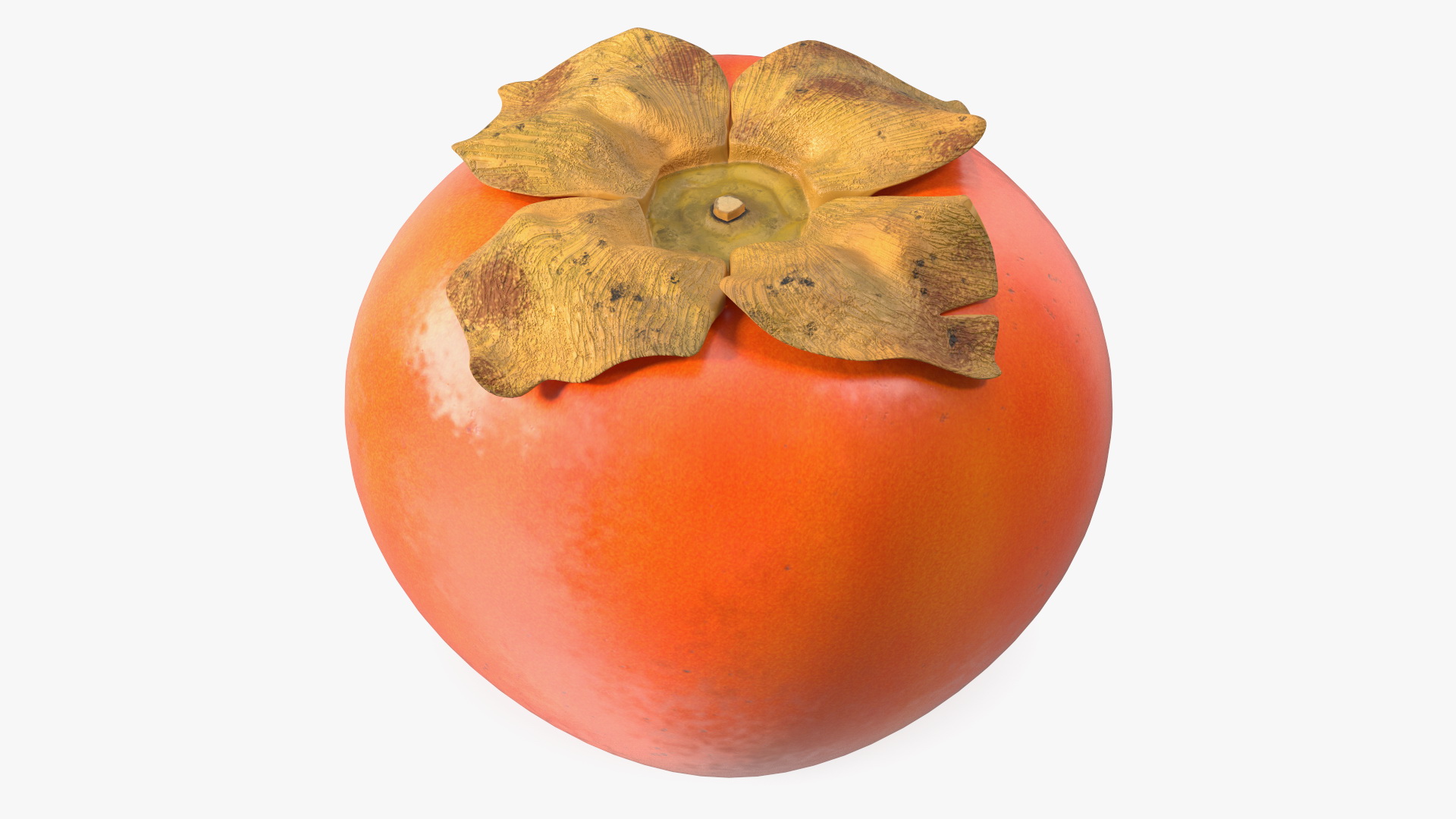 3D model Persimmon Fruit
