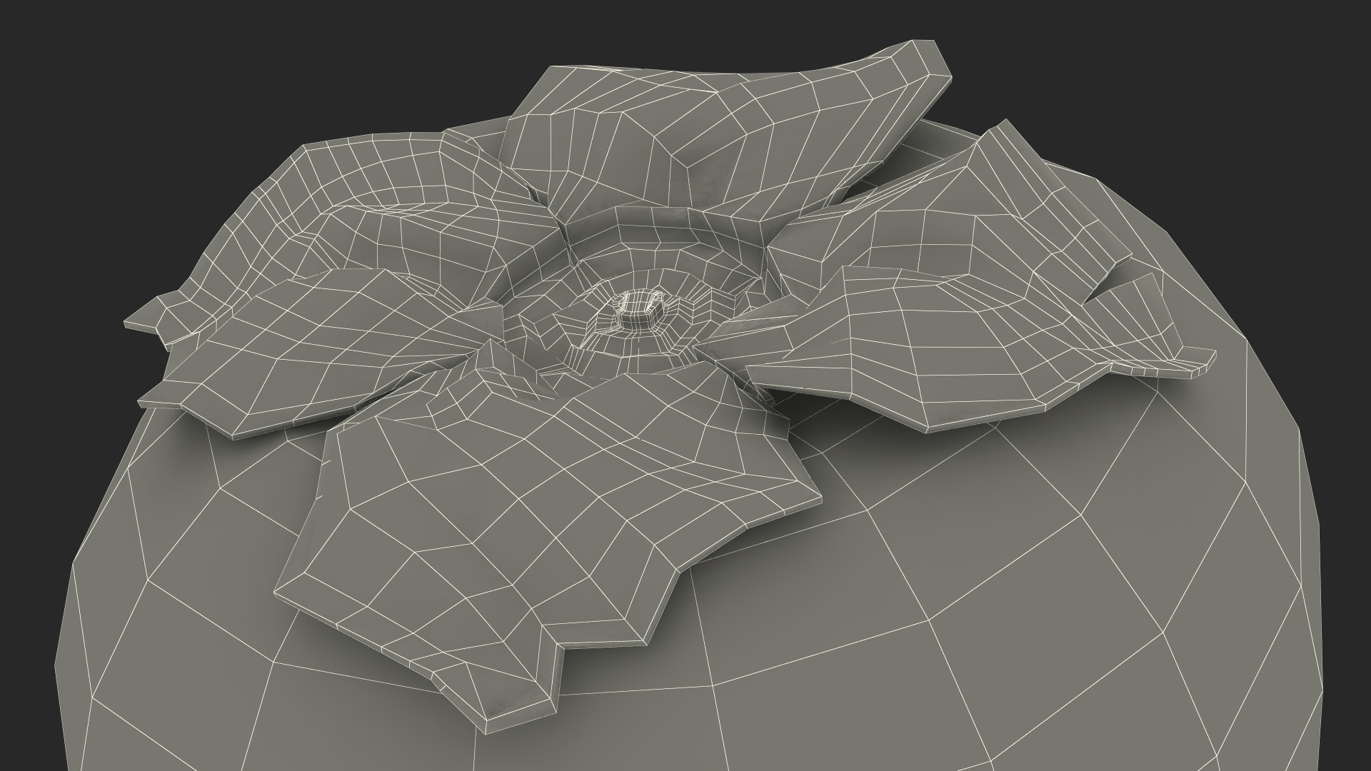 3D model Persimmon Fruit