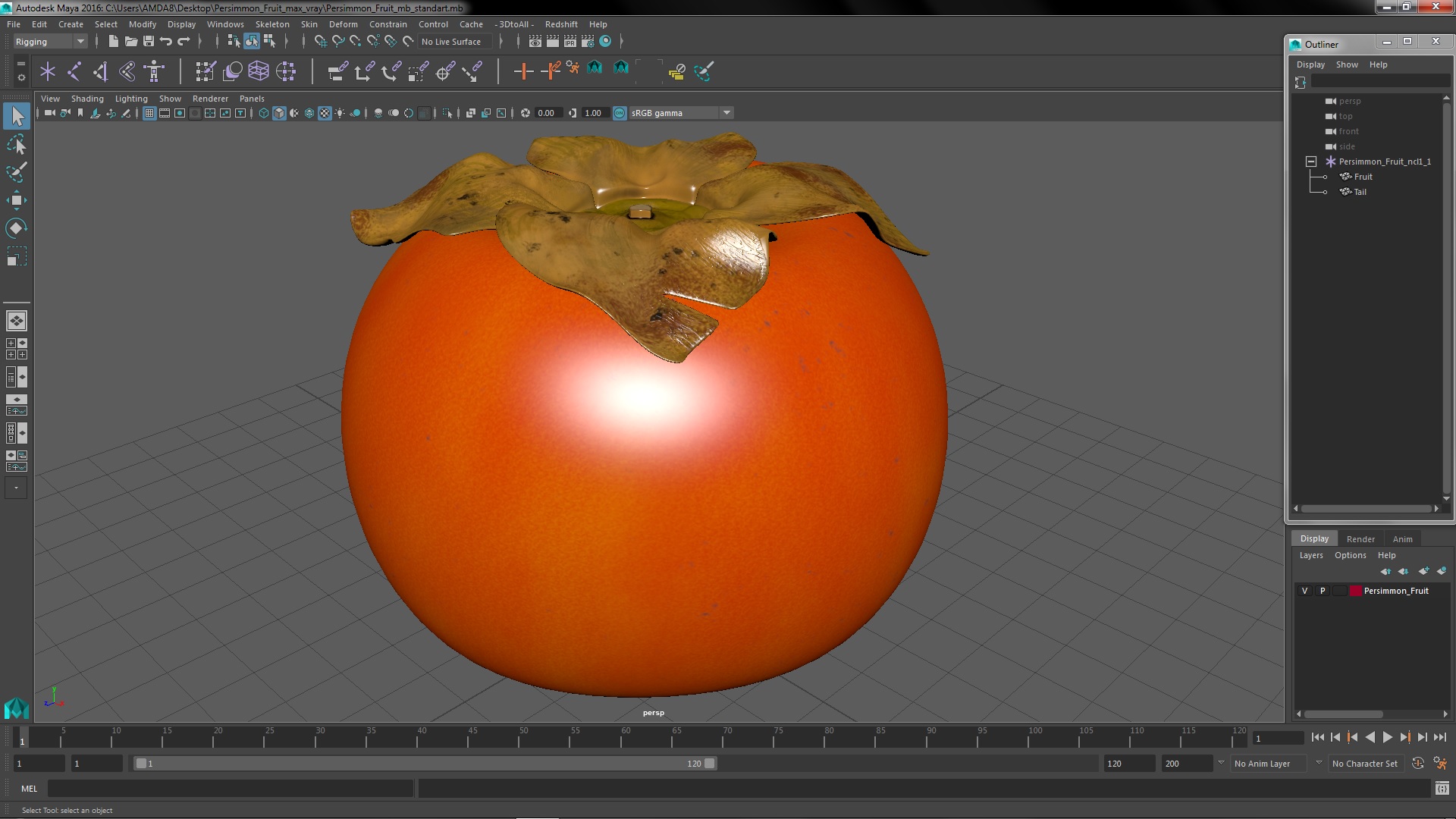 3D model Persimmon Fruit