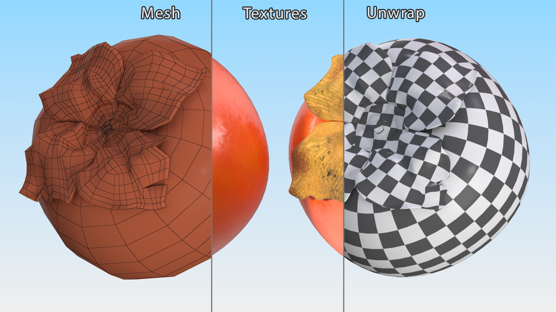 3D model Persimmon Fruit