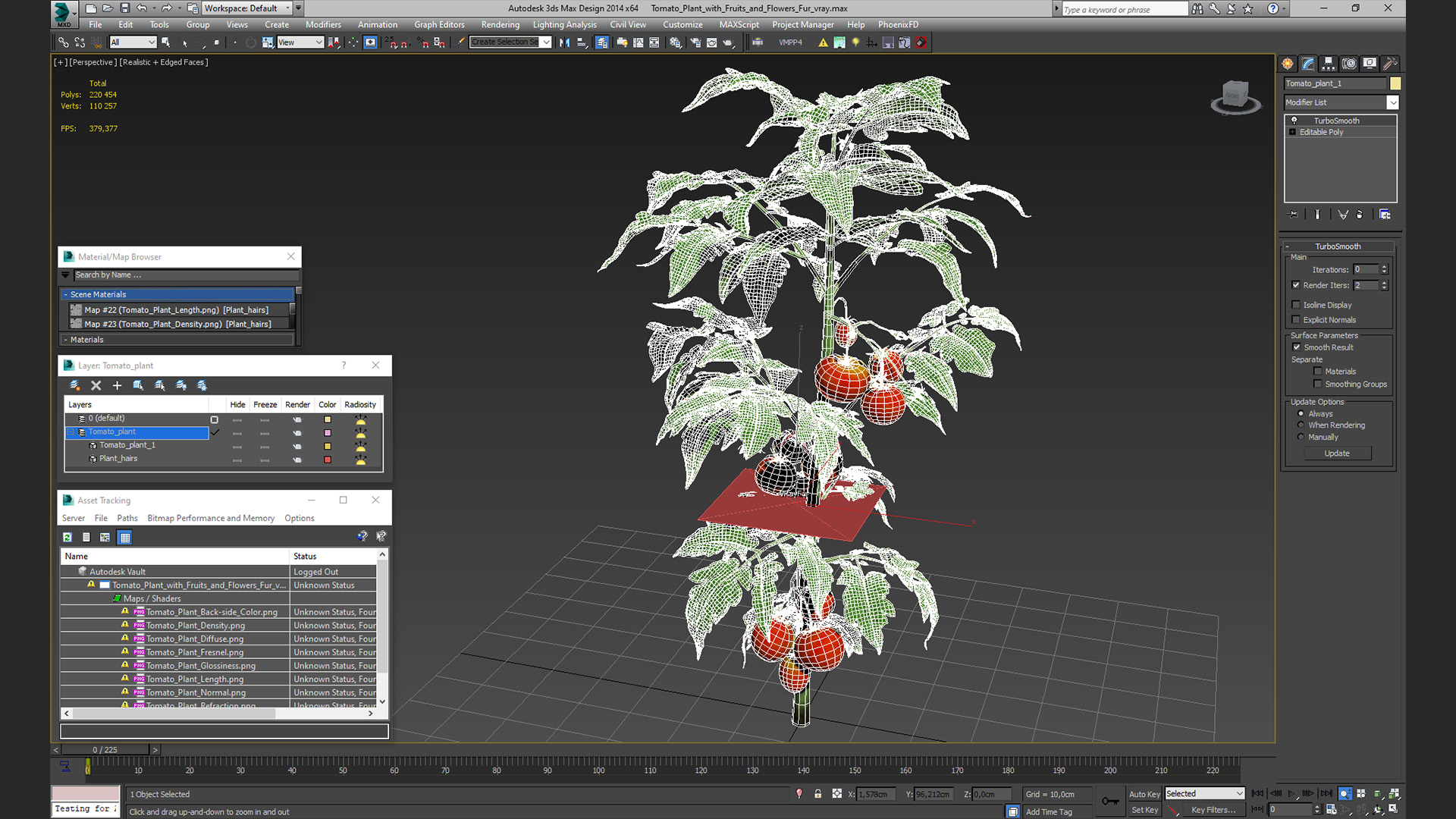 3D model Tomato Plant with Fruits and Flowers Fur