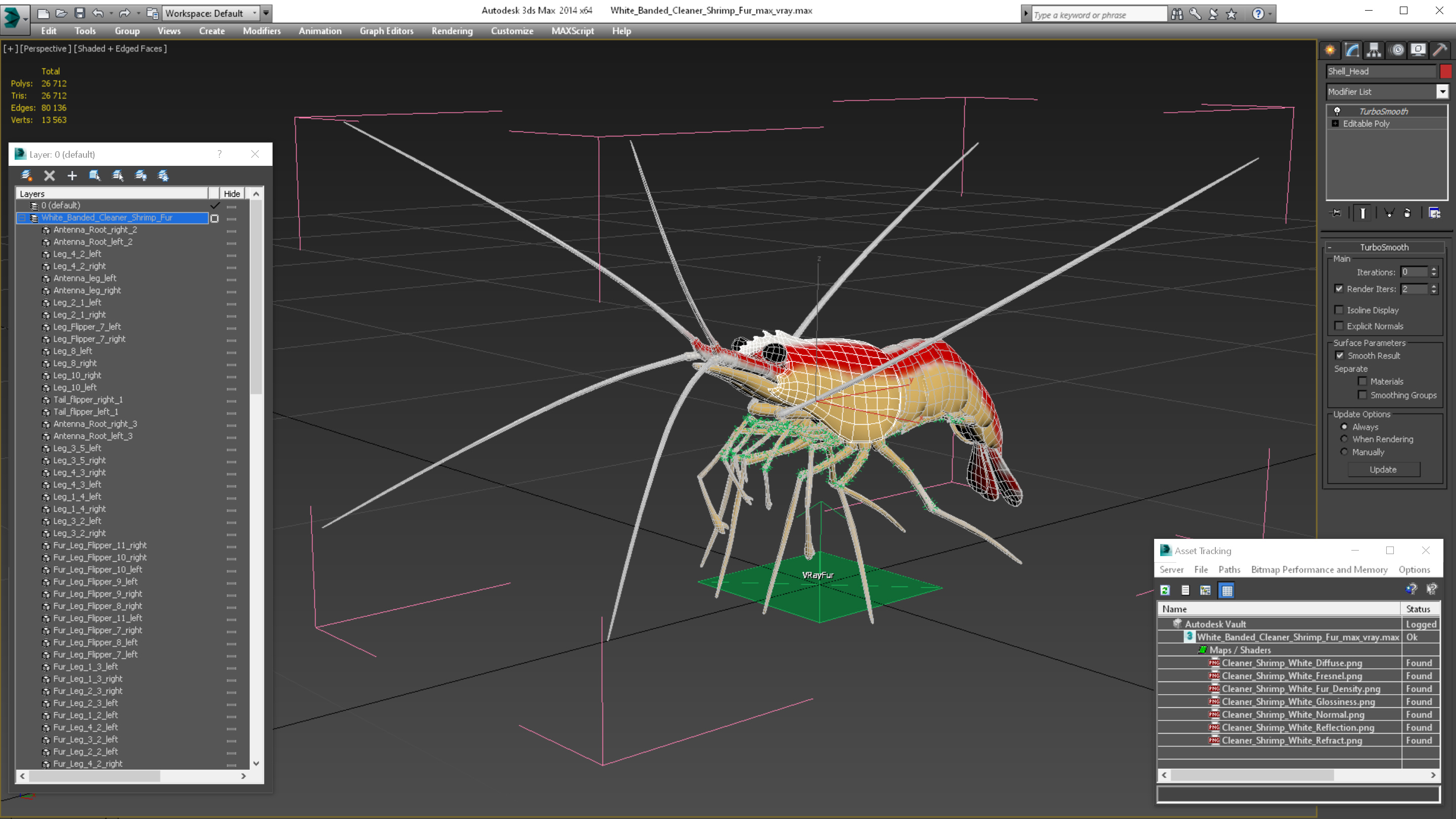 3D White Banded Cleaner Shrimp Fur