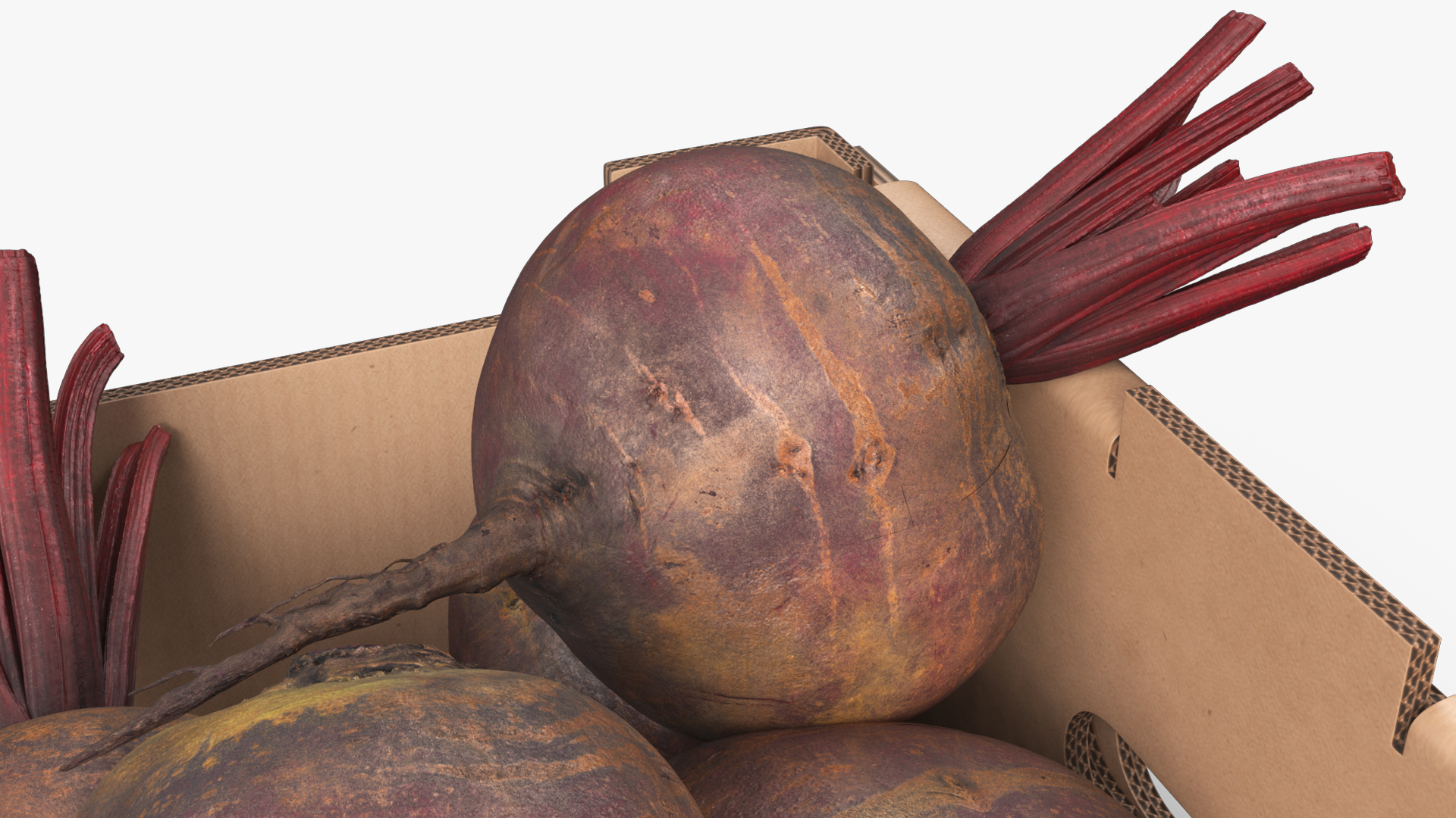 Harvest Beetroots in Storage Box Burgundy, view 7