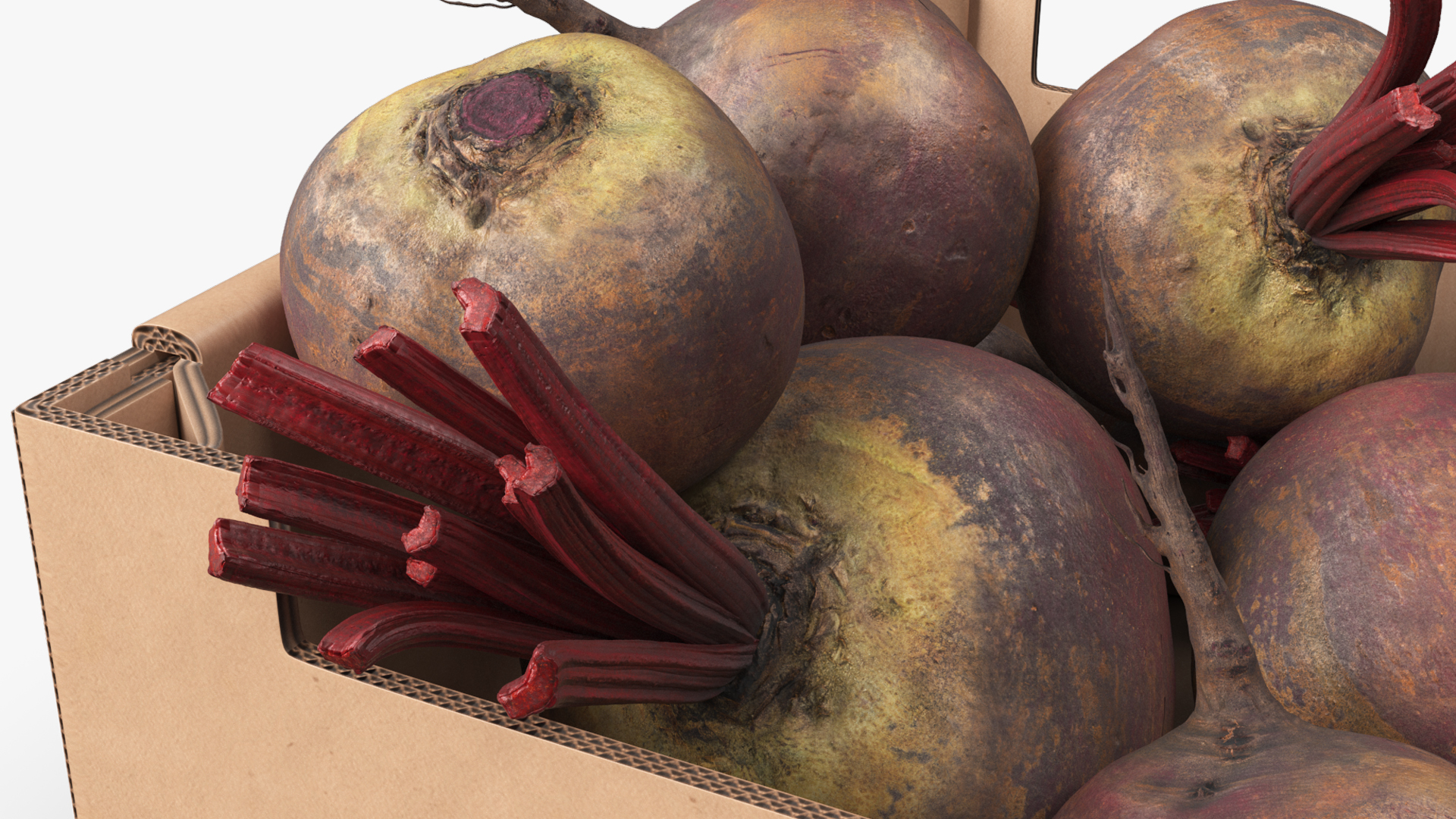 Harvest Beetroots in Storage Box Burgundy, view 8
