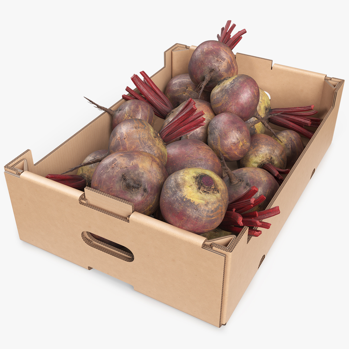 Harvest Beetroots in Storage Box Burgundy