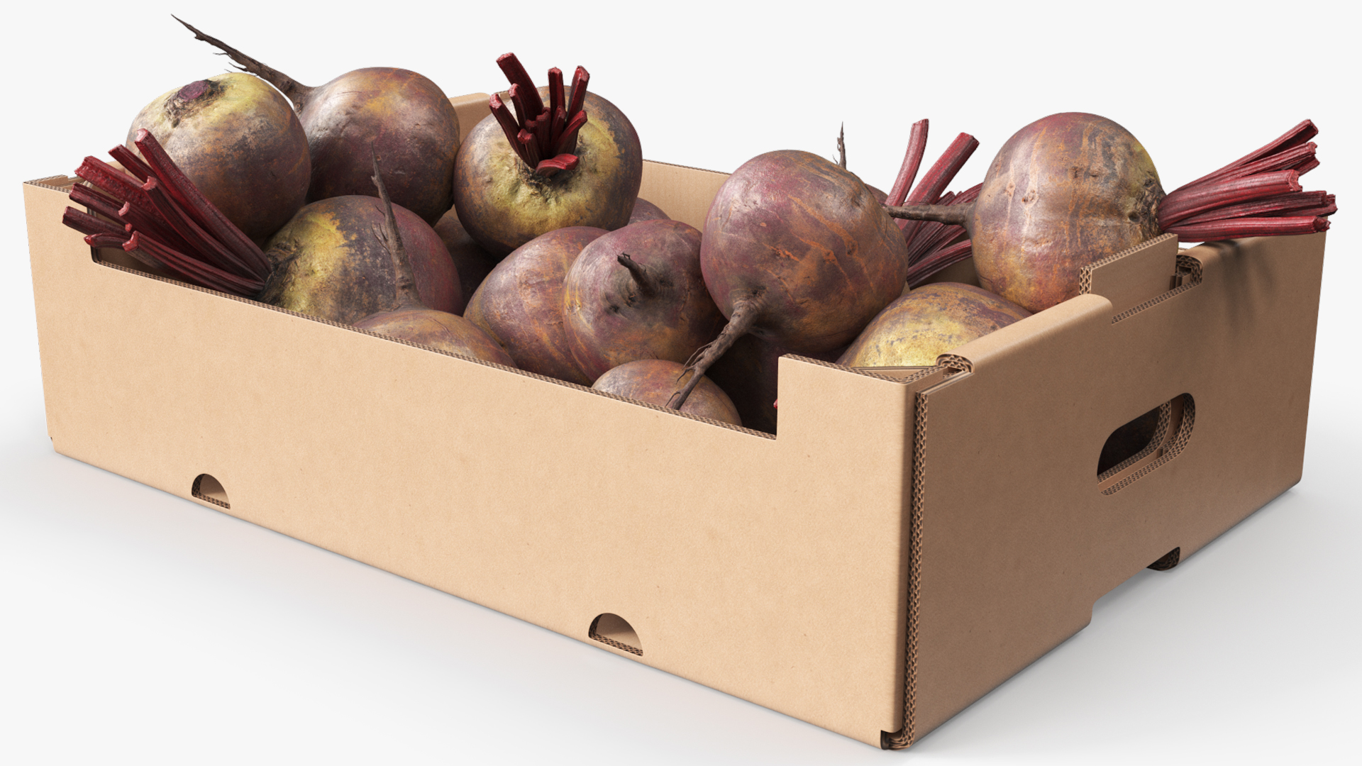 Harvest Beetroots in Storage Box Burgundy, view 3