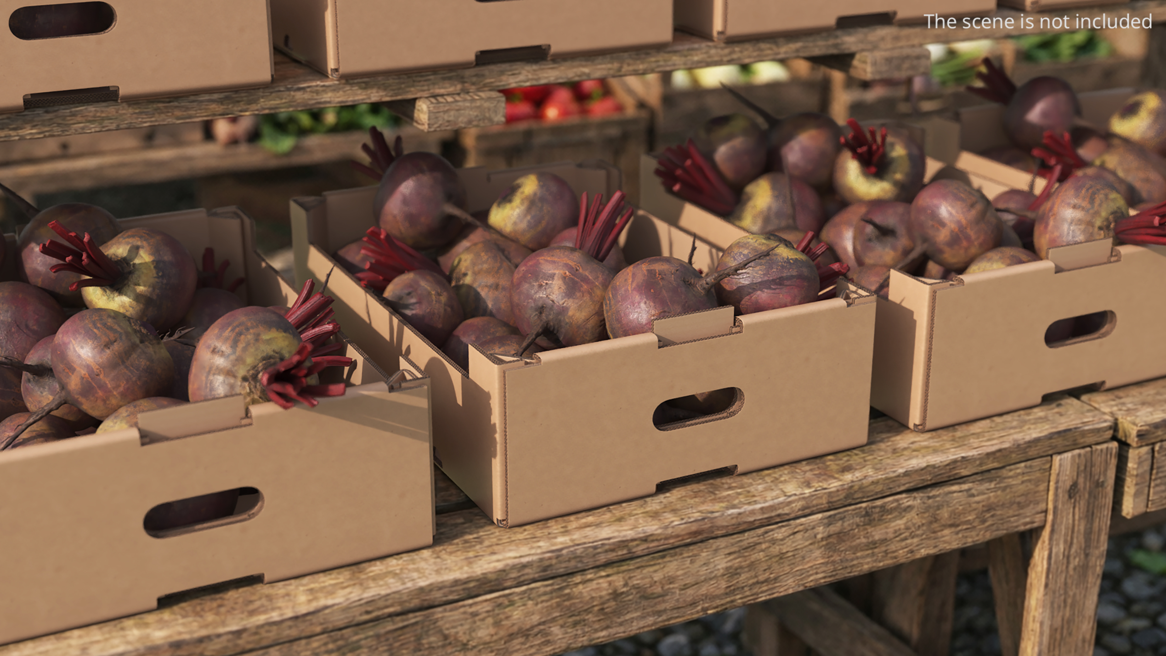 Harvest Beetroots in Storage Box Burgundy, view 2
