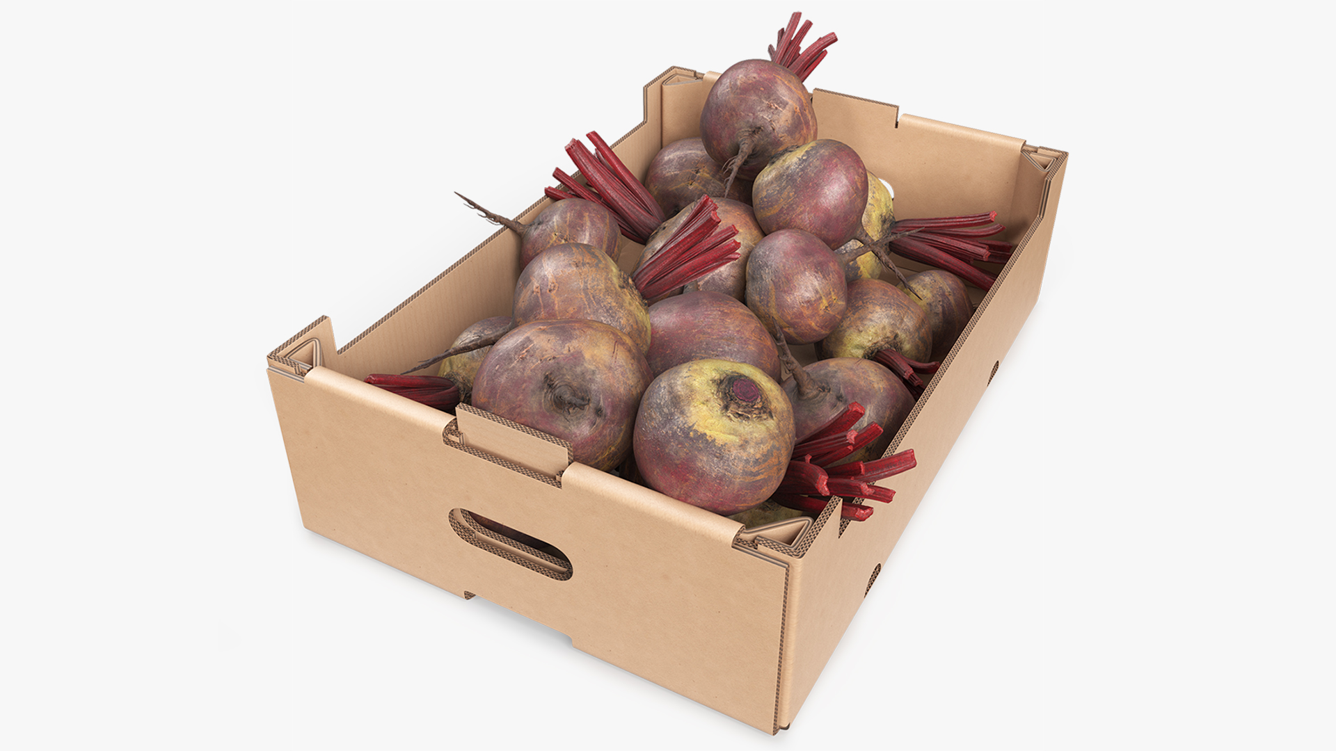 Harvest Beetroots in Storage Box Burgundy