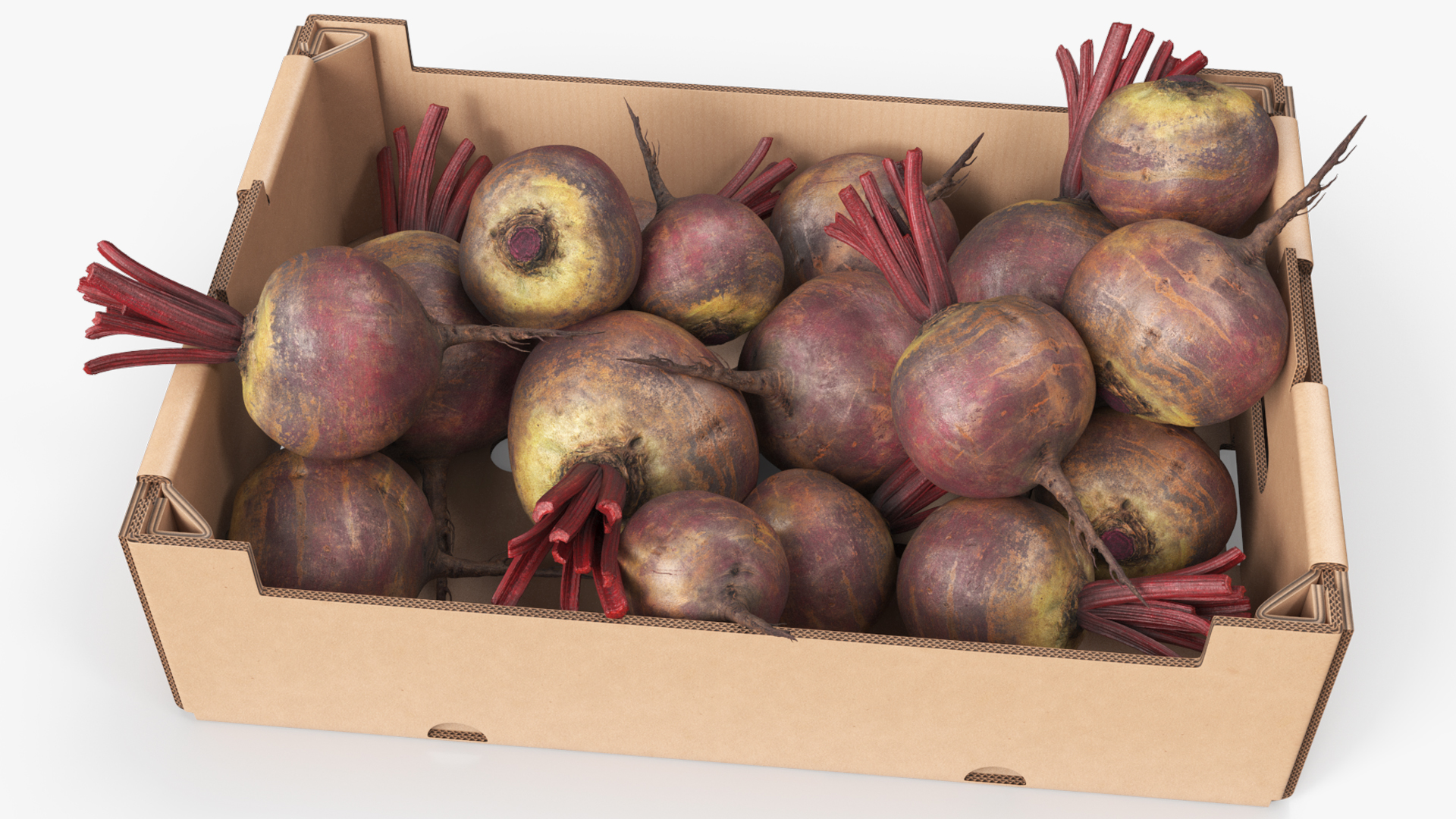 Harvest Beetroots in Storage Box Burgundy, view 4