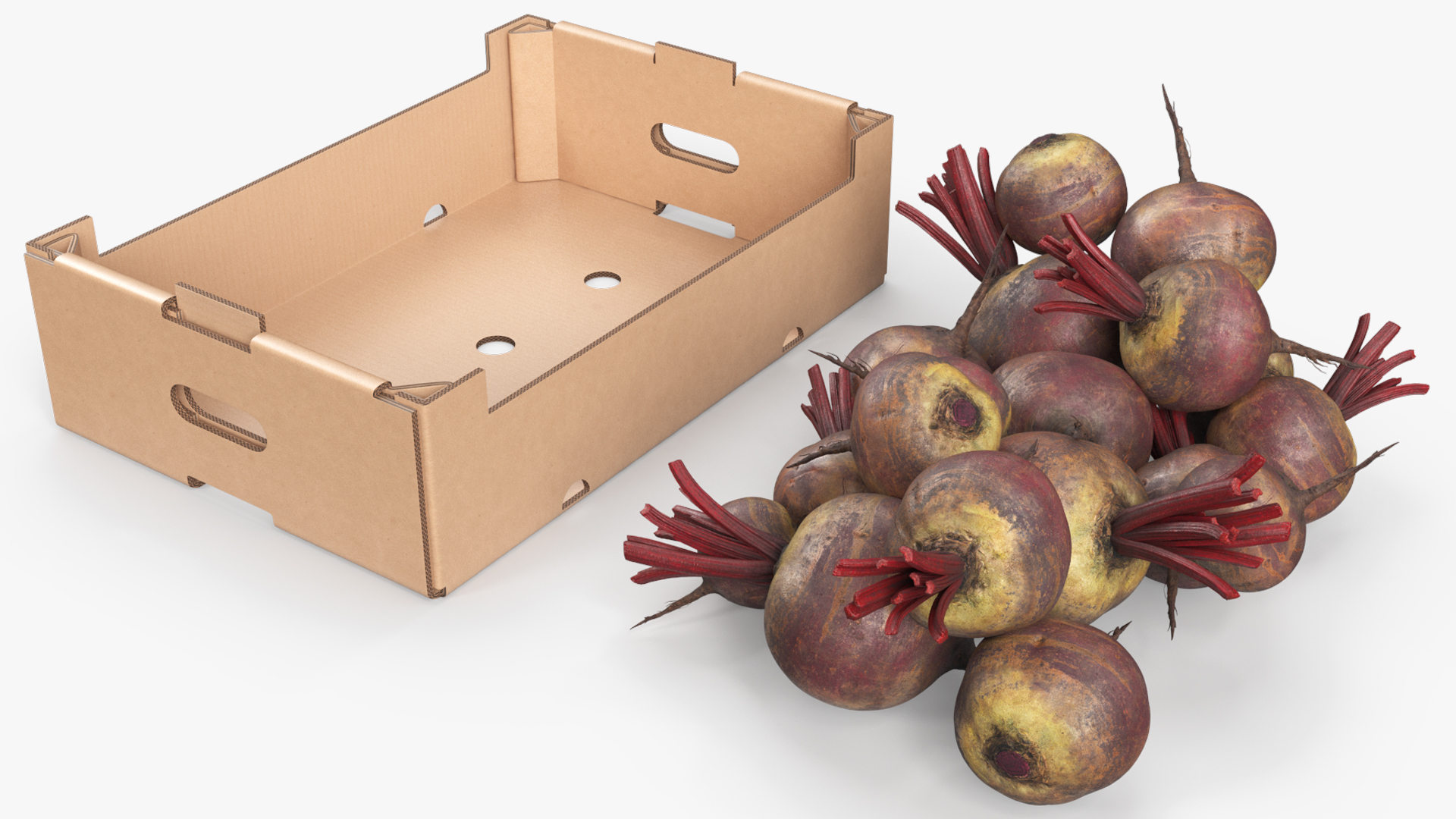 Harvest Beetroots in Storage Box Burgundy, view 5