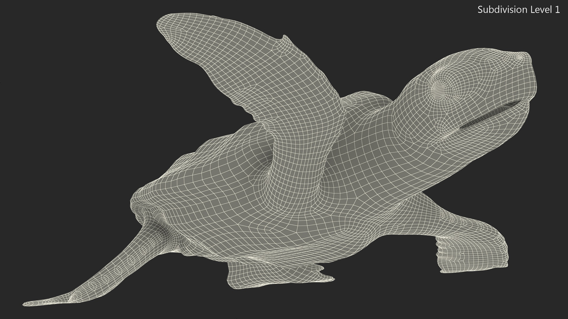 Baby Brown Sea Turtle Runs to the Sea 3D