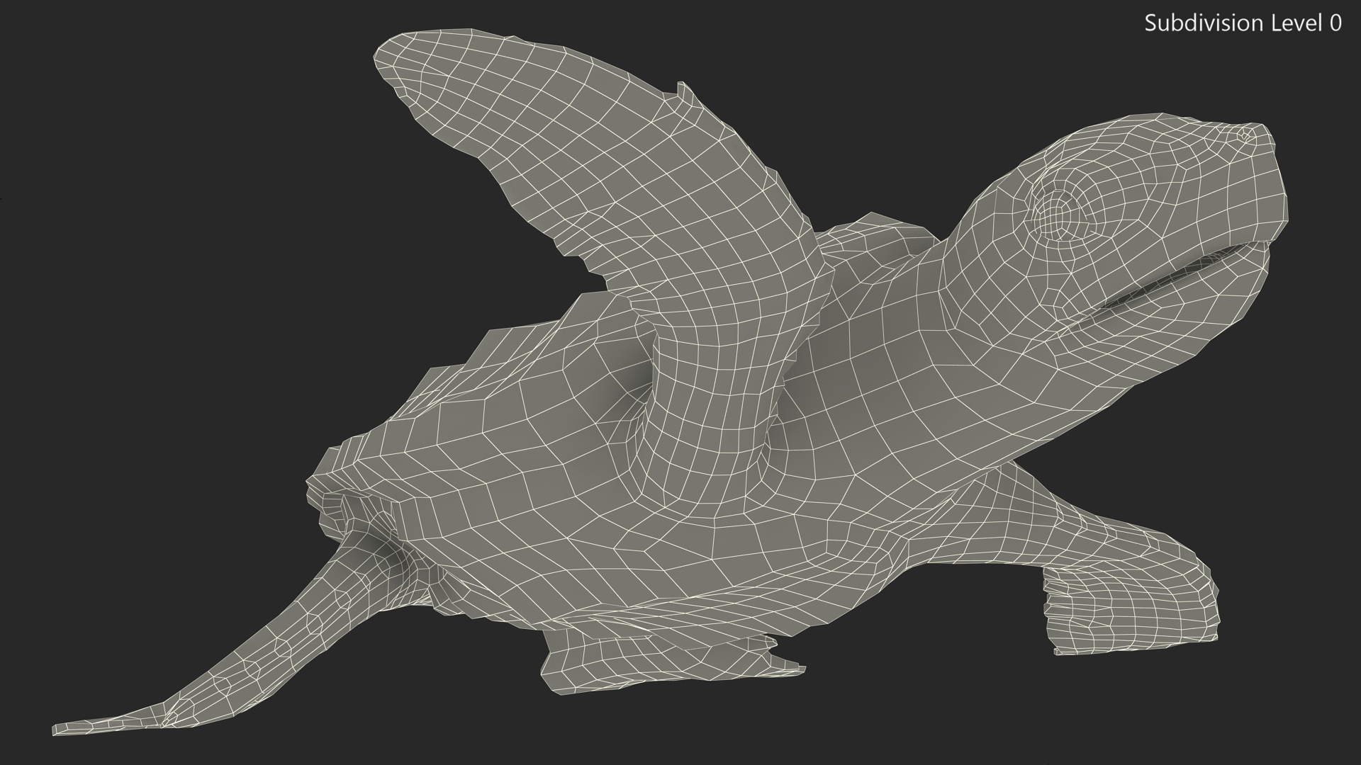 Baby Brown Sea Turtle Runs to the Sea 3D