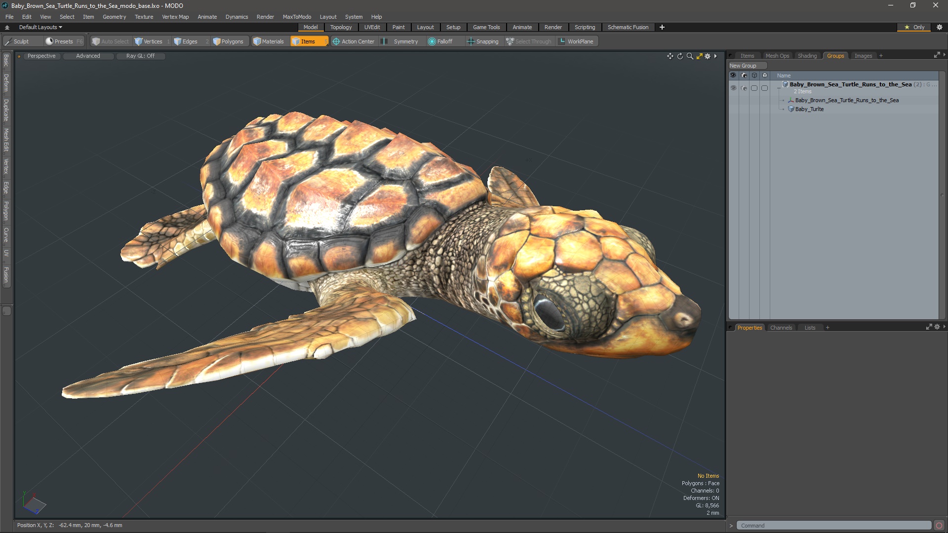 Baby Brown Sea Turtle Runs to the Sea 3D