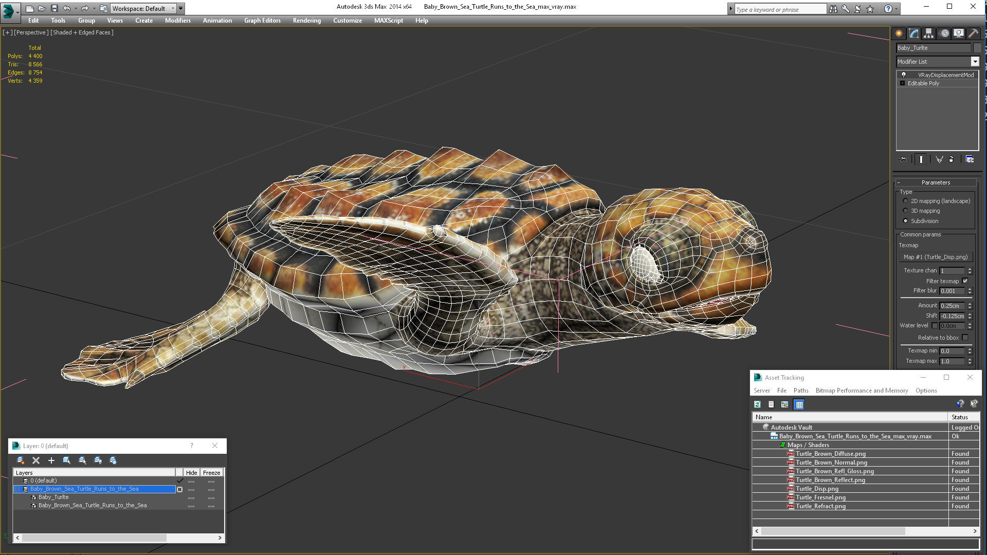 Baby Brown Sea Turtle Runs to the Sea 3D