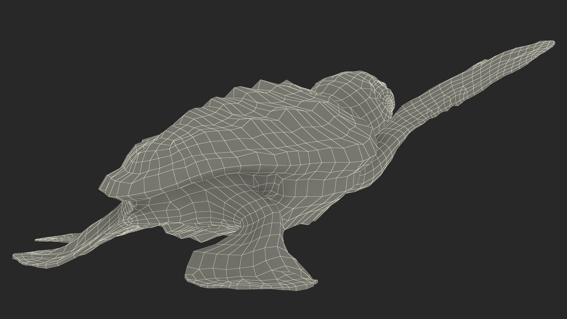 Baby Brown Sea Turtle Runs to the Sea 3D
