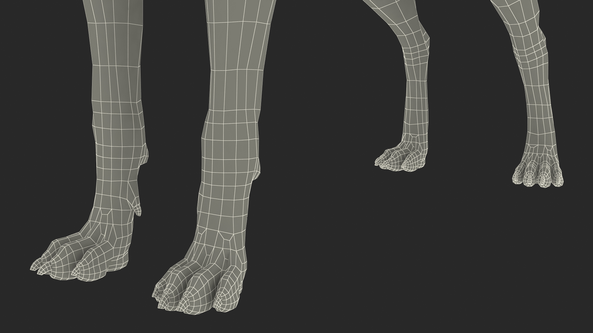 Boxer Dog Tiger Colored Rigged for Maya 3D model
