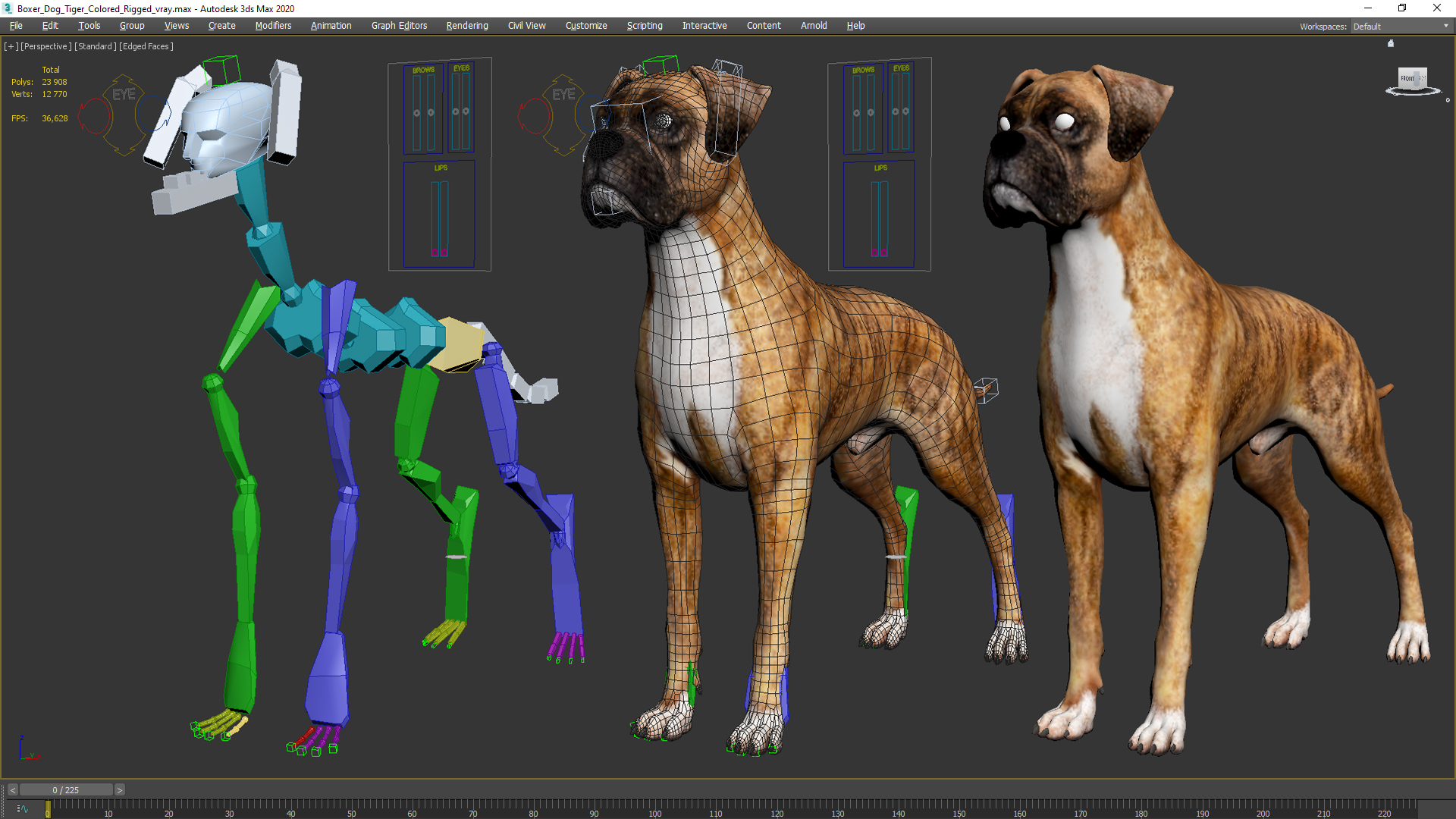 Boxer Dog Tiger Colored Rigged for Maya 3D model