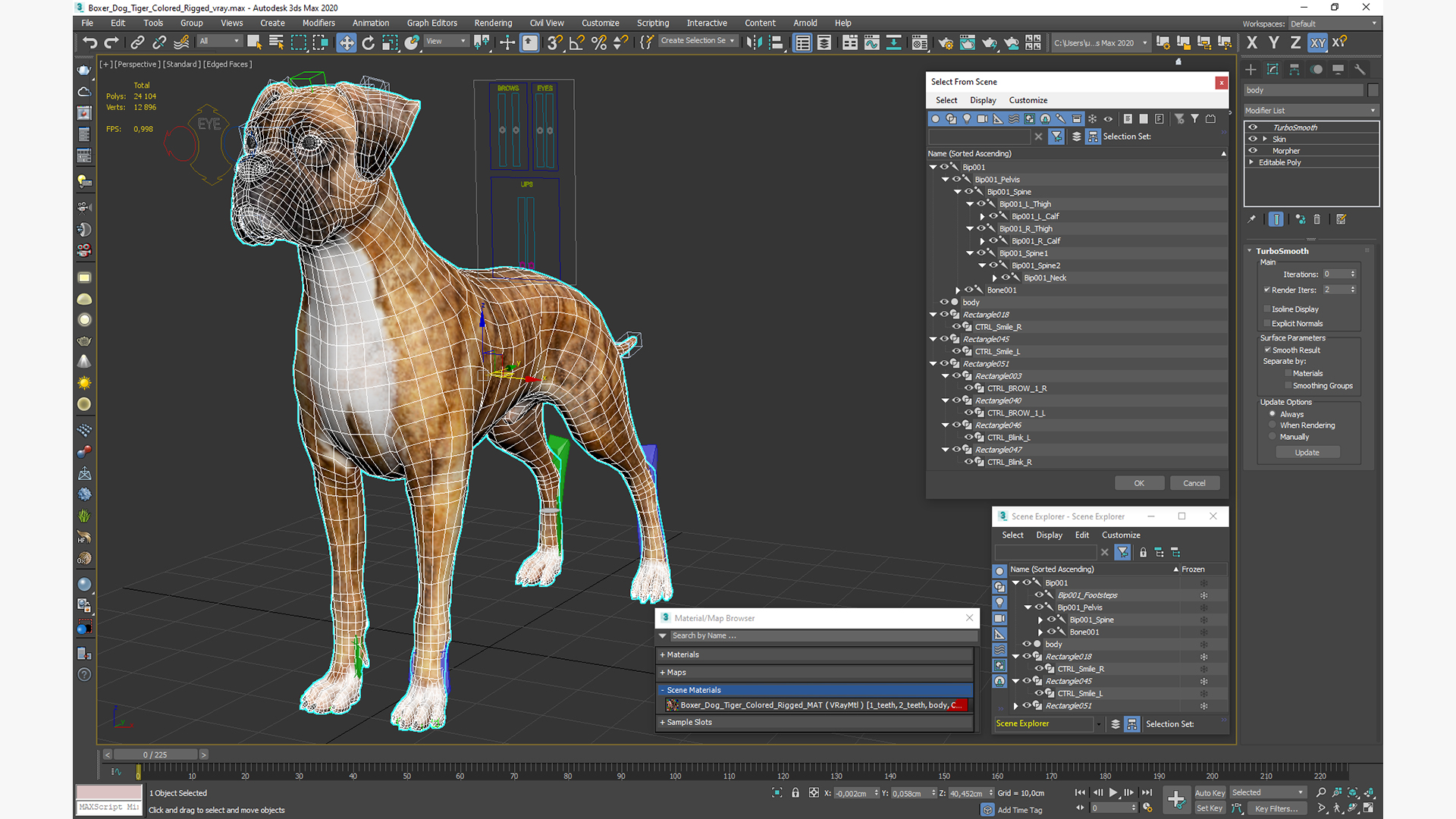 Boxer Dog Tiger Colored Rigged for Maya 3D model