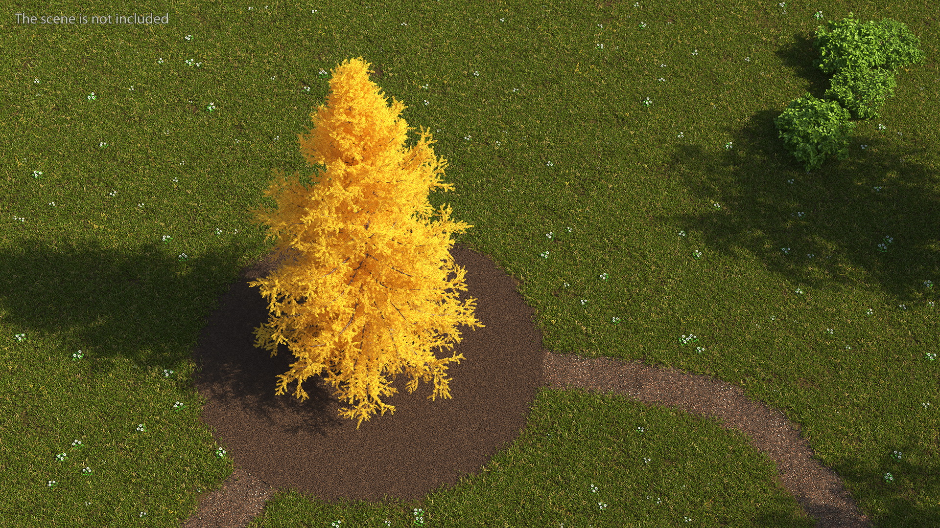 3D Japanese Larch Tree Yellow