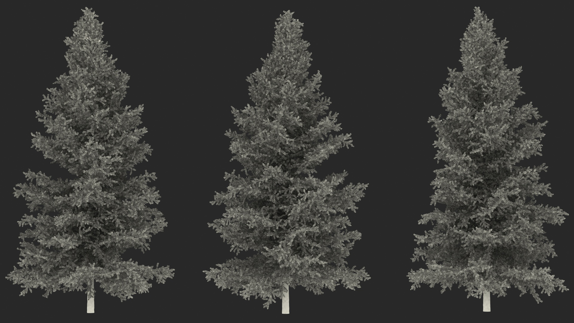 3D Japanese Larch Tree Yellow