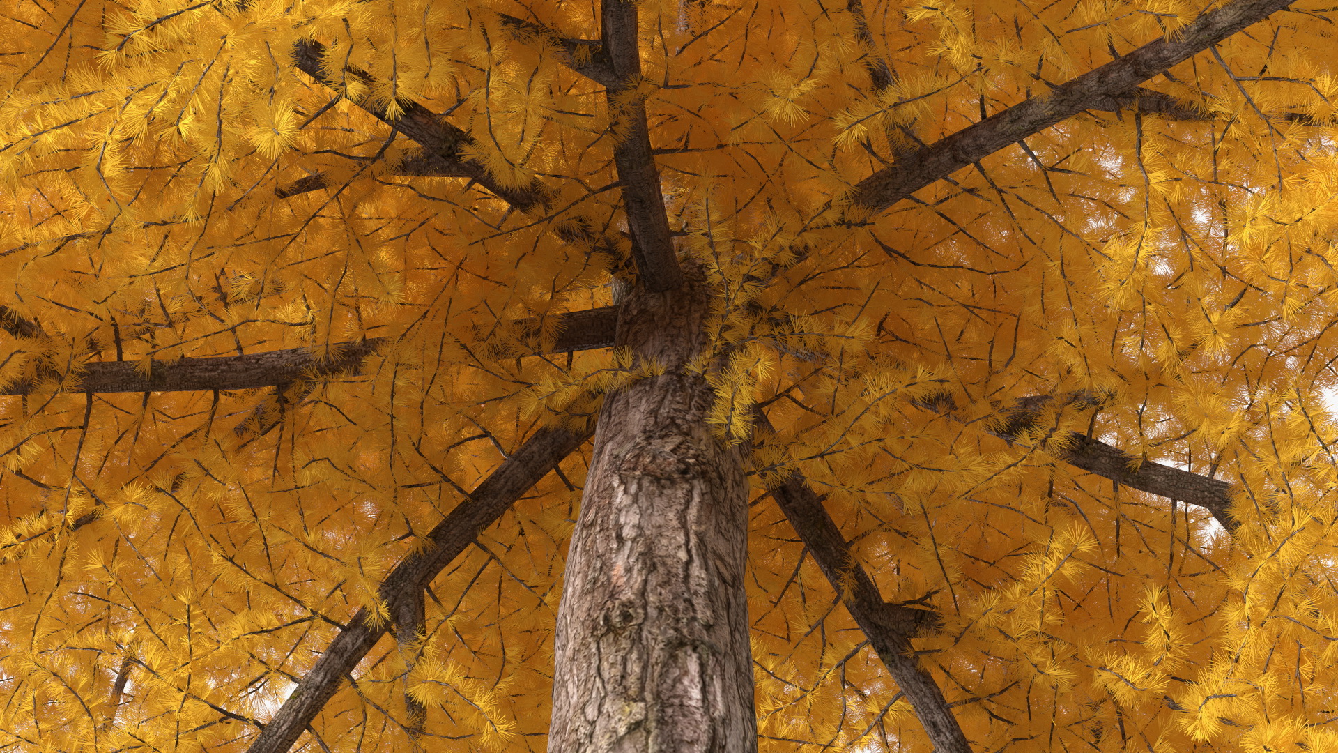 3D Japanese Larch Tree Yellow