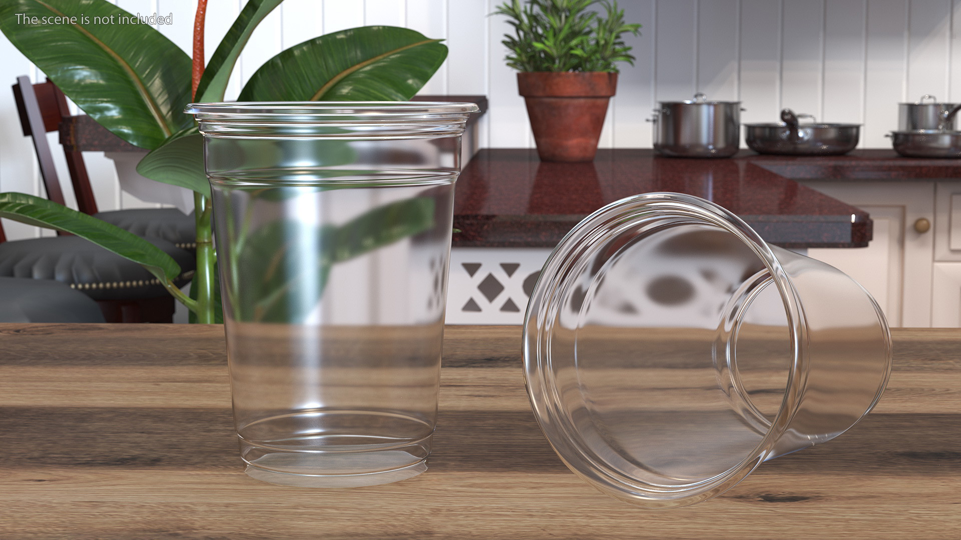 Plastic Disposable Cup 3D
