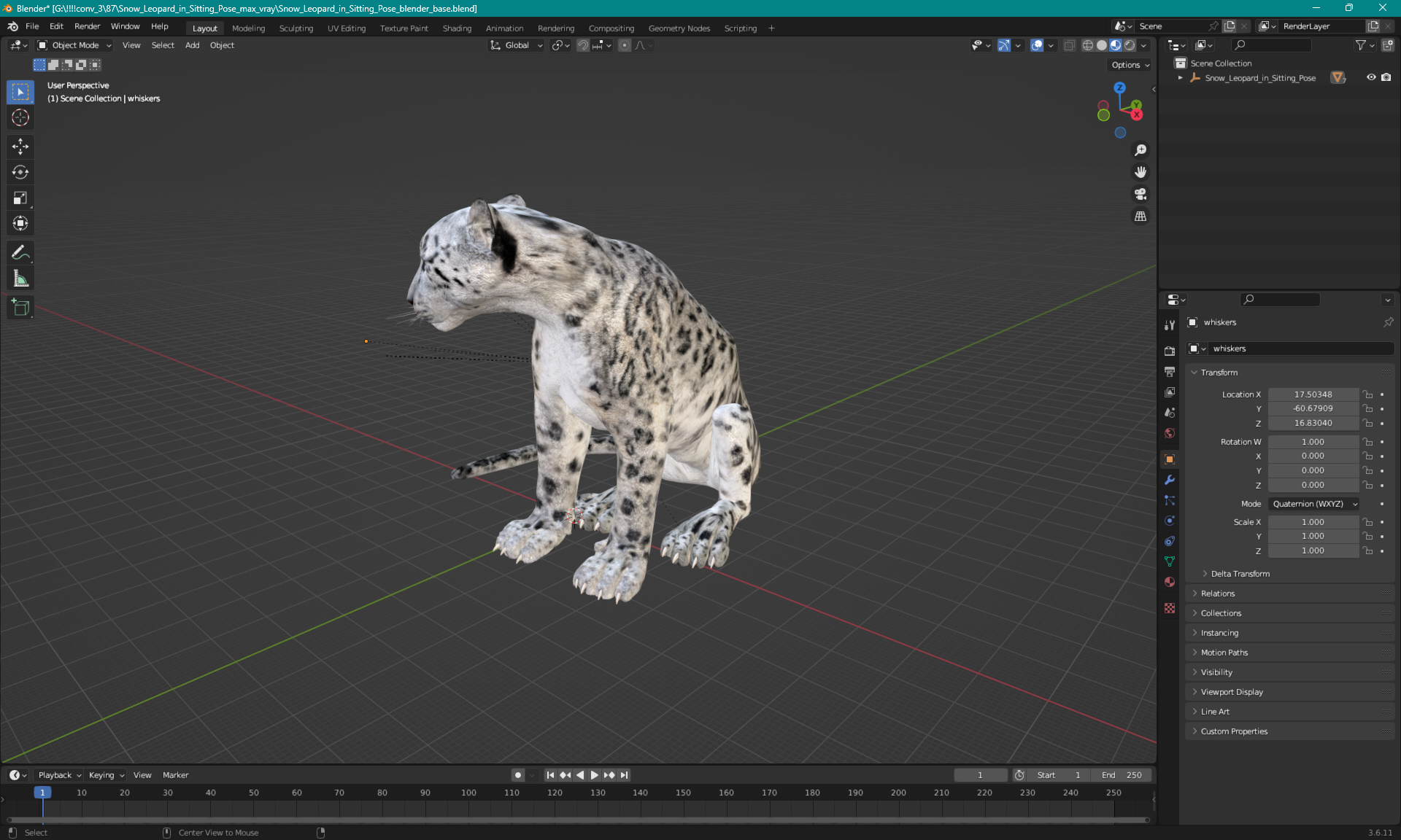 3D Snow Leopard in Sitting Pose model