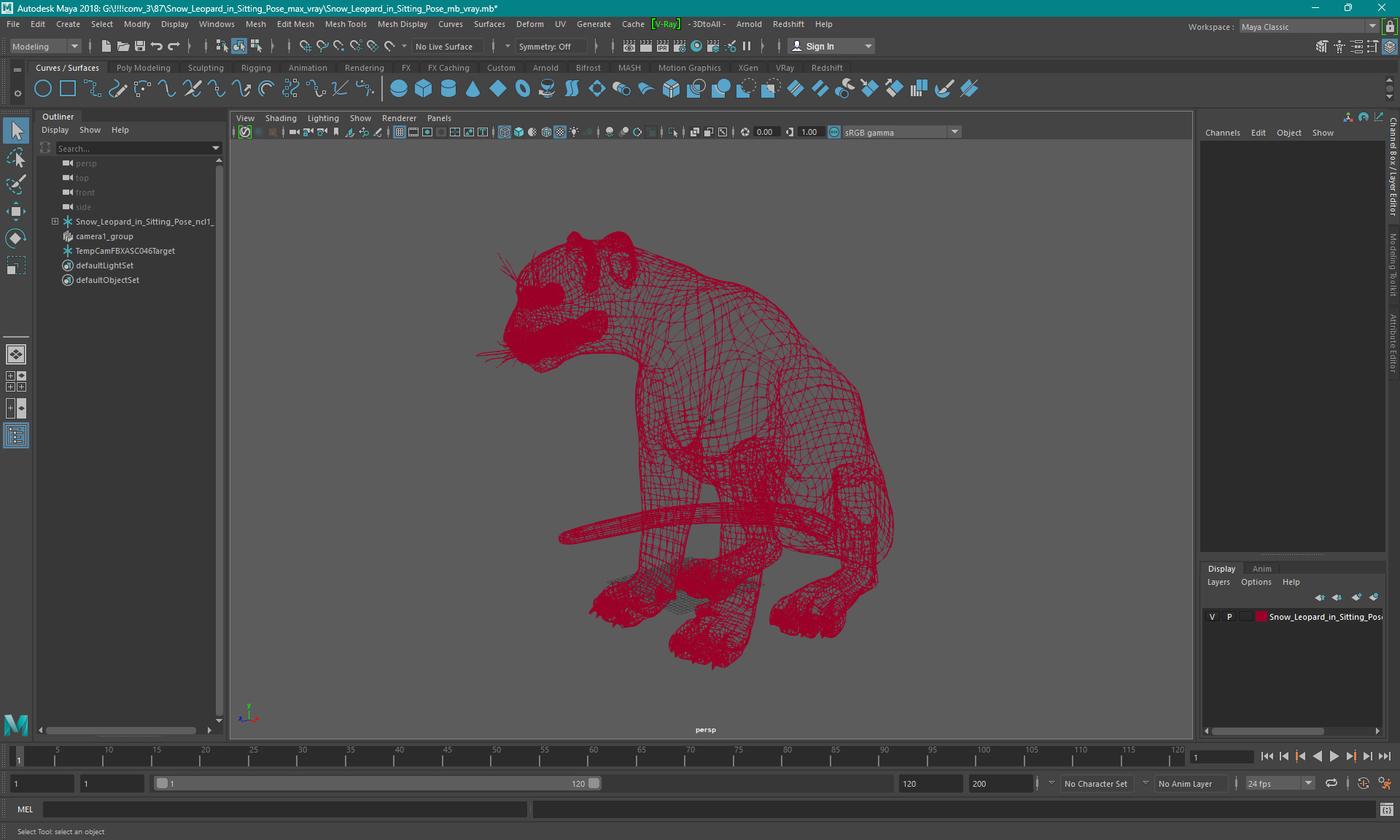 3D Snow Leopard in Sitting Pose model