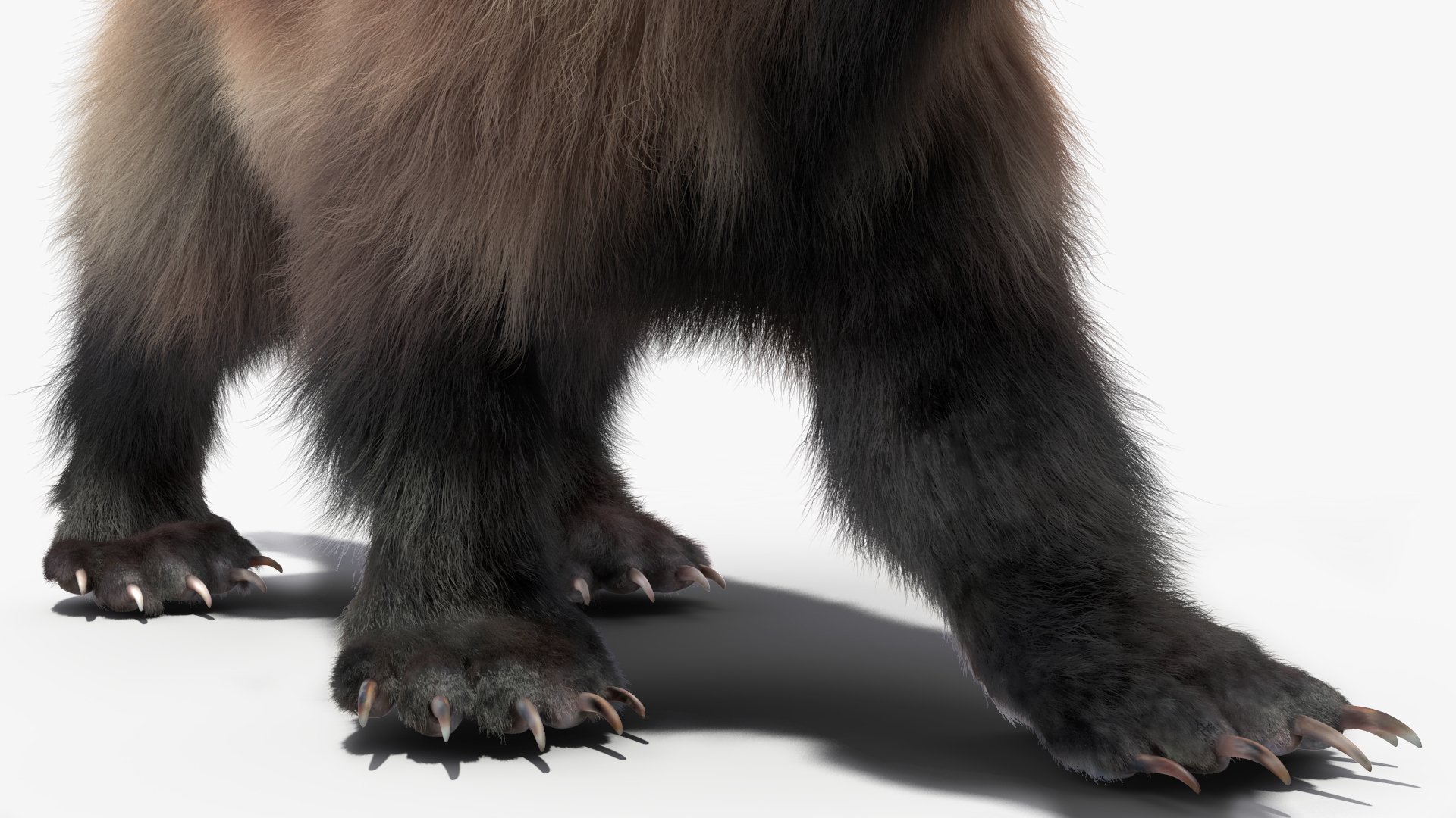 3D Wolverine Light Color Walking Pose Fur model
