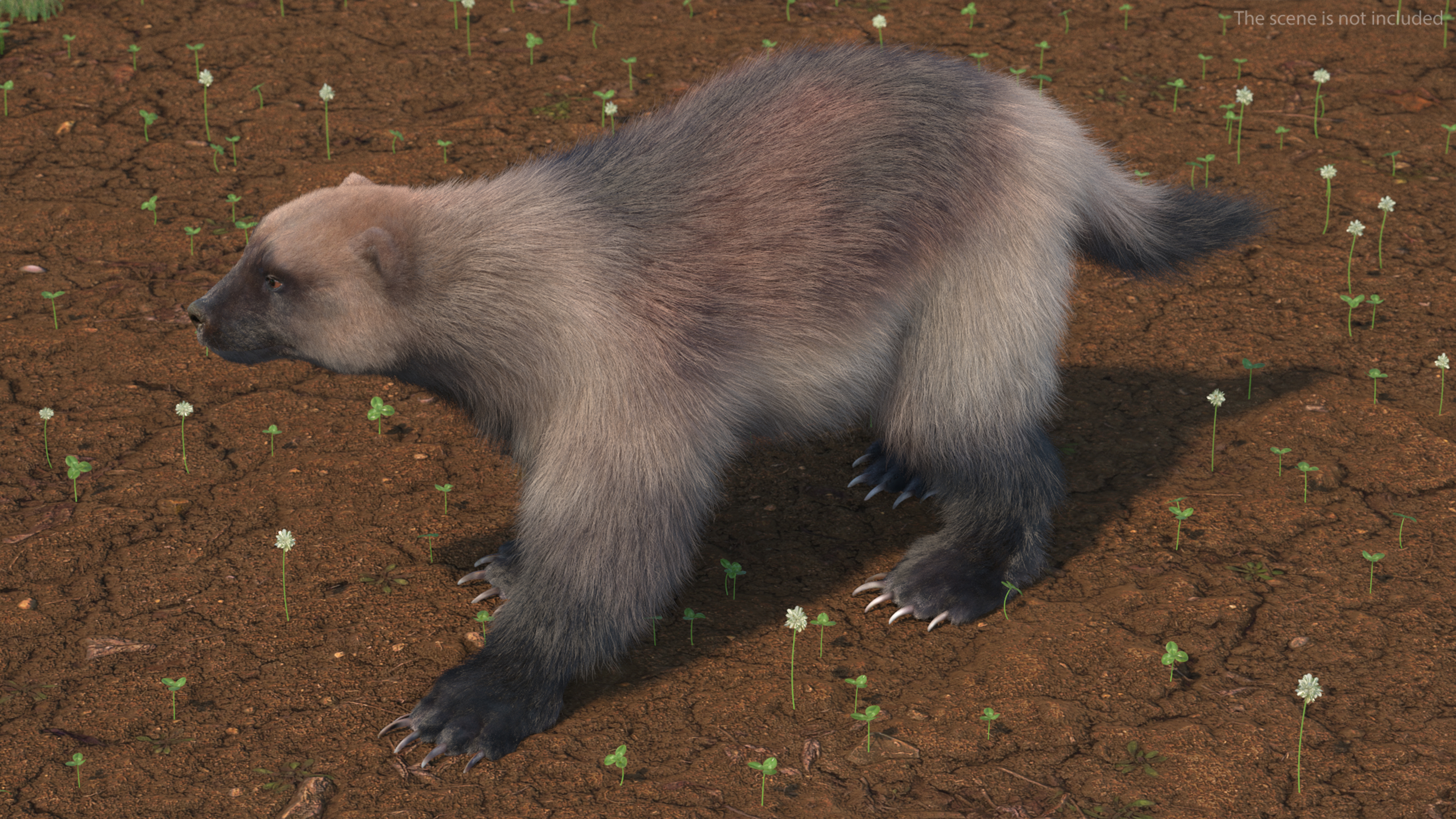 3D Wolverine Light Color Walking Pose Fur model