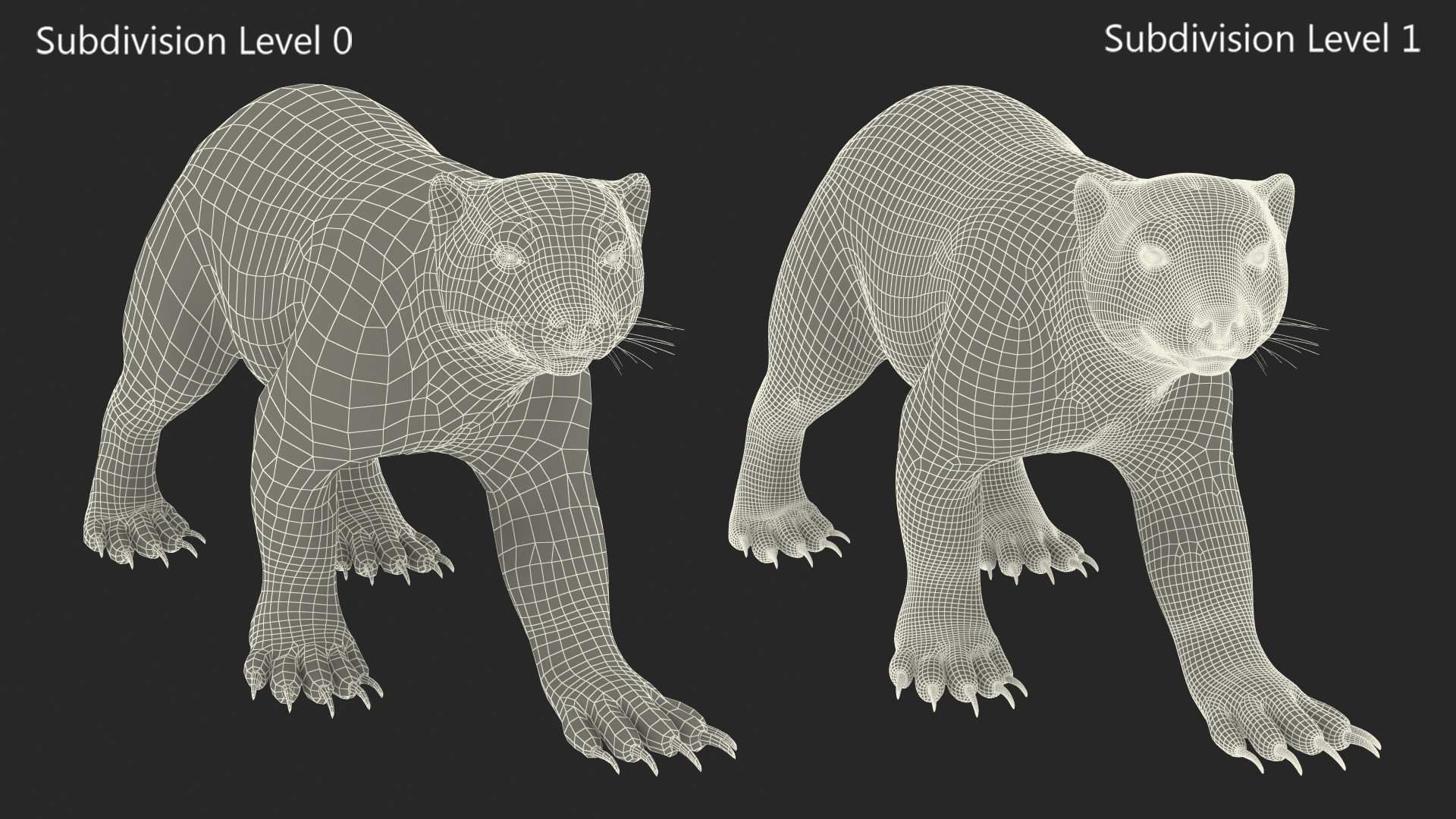 3D Wolverine Light Color Walking Pose Fur model